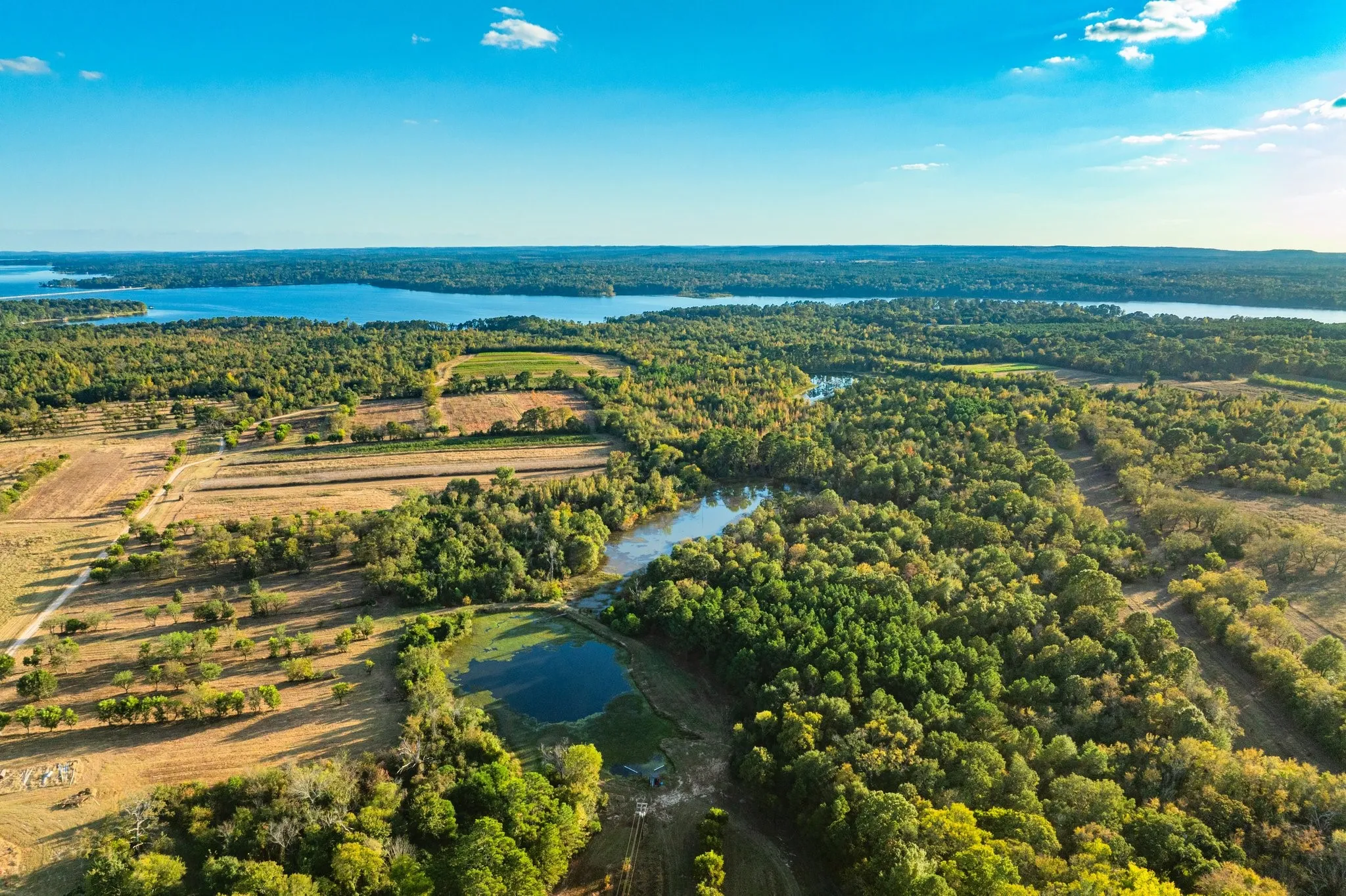 Ranch For Sale in Henderson County , 0 Cr-3411, Chandler, Texas 75758, 0, 0, Garage spaces, 0 Sqft, built in 0, mls#21073851, Real Estate Agent in Chandler, Homes For Sale in Henderson county, Homes For Sale in Chandler, Realtor in Chandler Texas, Real Estate Brokerage Independent Realty Texas, Luminita Cordes Realtor