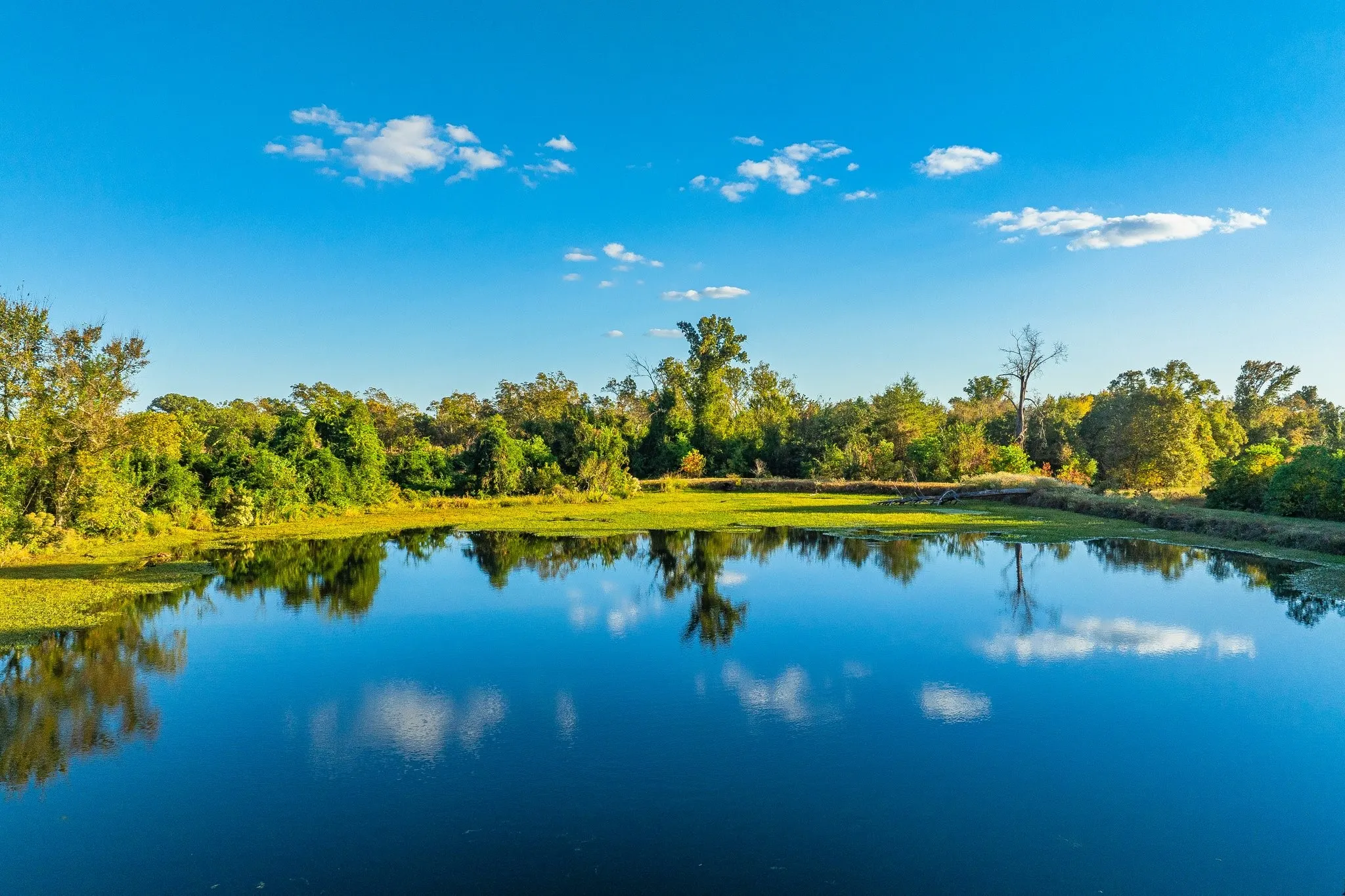 Ranch For Sale in Henderson County , 0 Cr-3411, Chandler, Texas 75758, 0, 0, Garage spaces, 0 Sqft, built in 0, mls#21073851, Real Estate Agent in Chandler, Homes For Sale in Henderson county, Homes For Sale in Chandler, Realtor in Chandler Texas, Real Estate Brokerage Independent Realty Texas, Luminita Cordes Realtor