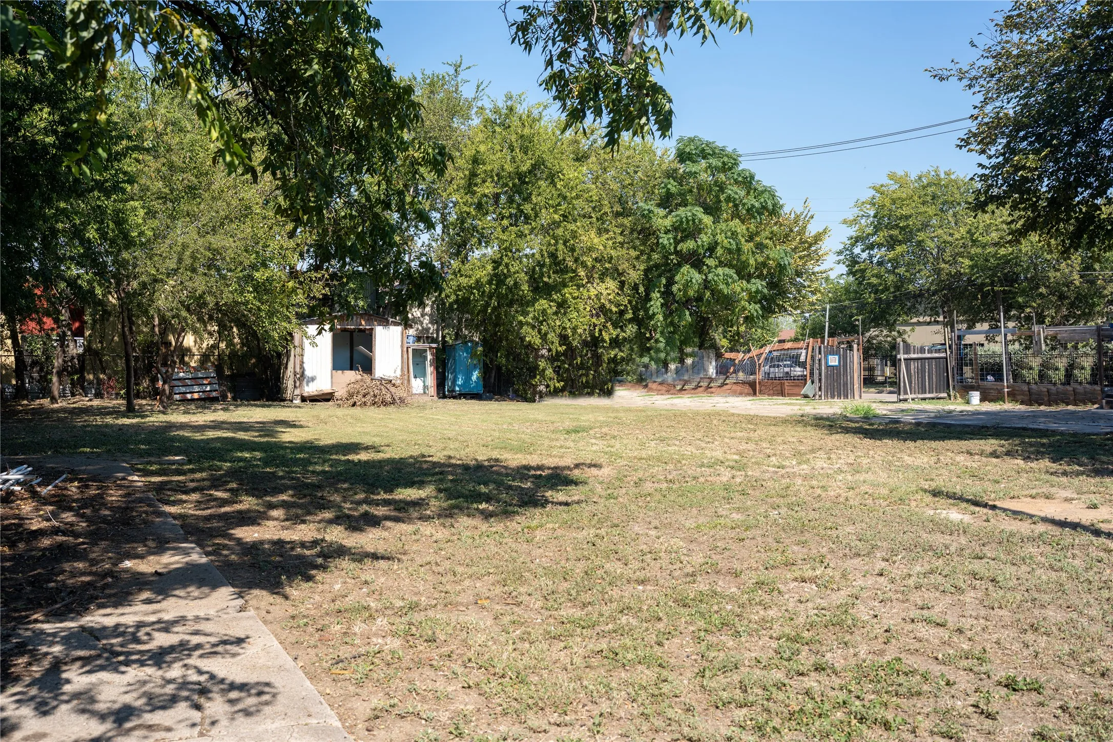 View of green lawn