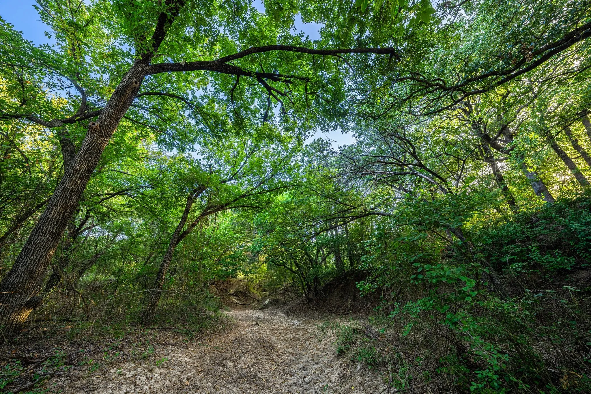 Ranch For Sale in Comanche County , 3021 Fm-1689, Comanche, Texas 76442, 0, 0, Garage spaces, 0 Sqft, built in 0, mls#21072753, Real Estate Agent in Comanche, Homes For Sale in Comanche county, Homes For Sale in Comanche, Realtor in Comanche Texas, Real Estate Brokerage Independent Realty Texas, Luminita Cordes Realtor