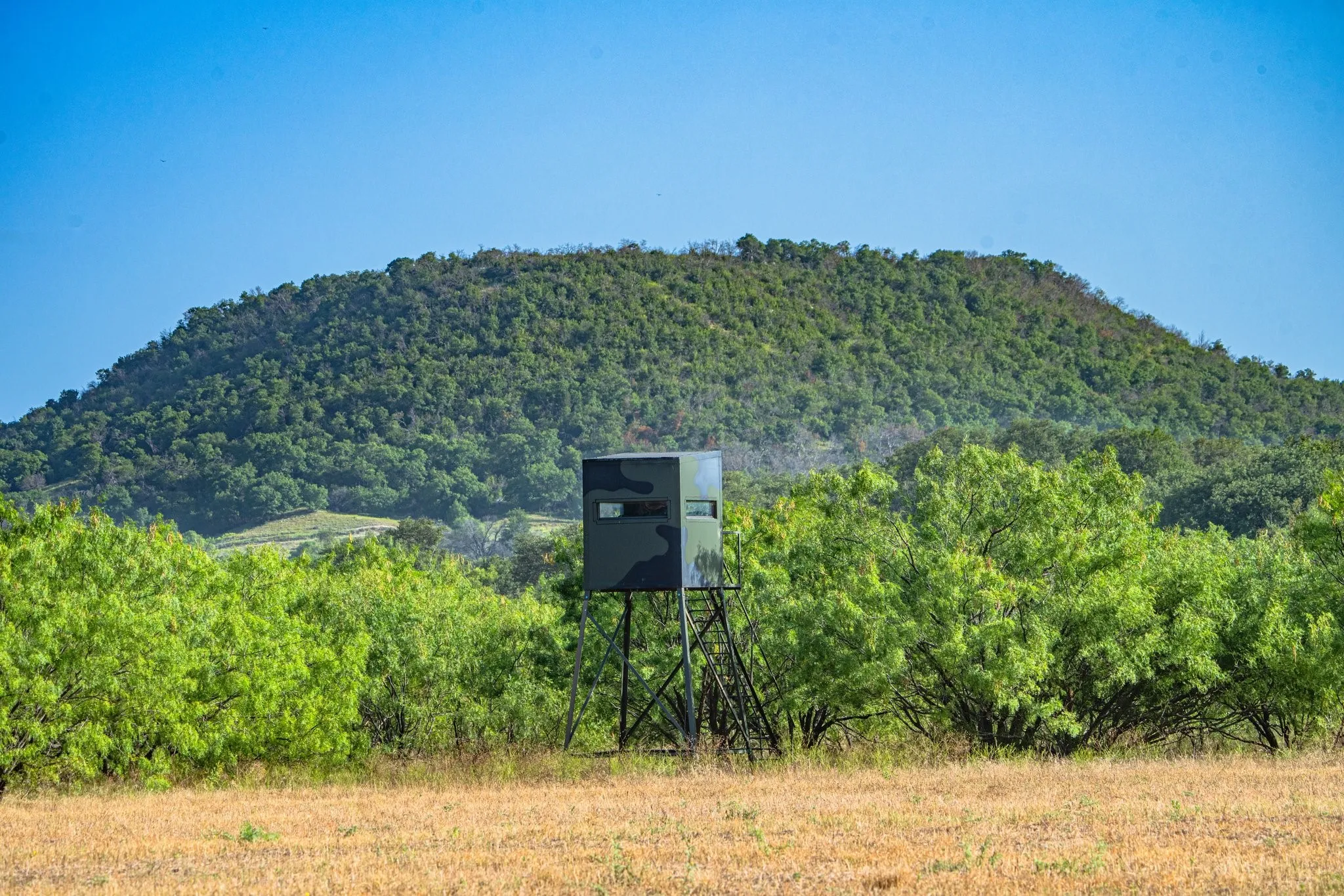 Ranch For Sale in Comanche County , 3021 Fm-1689, Comanche, Texas 76442, 0, 0, Garage spaces, 0 Sqft, built in 0, mls#21072753, Real Estate Agent in Comanche, Homes For Sale in Comanche county, Homes For Sale in Comanche, Realtor in Comanche Texas, Real Estate Brokerage Independent Realty Texas, Luminita Cordes Realtor