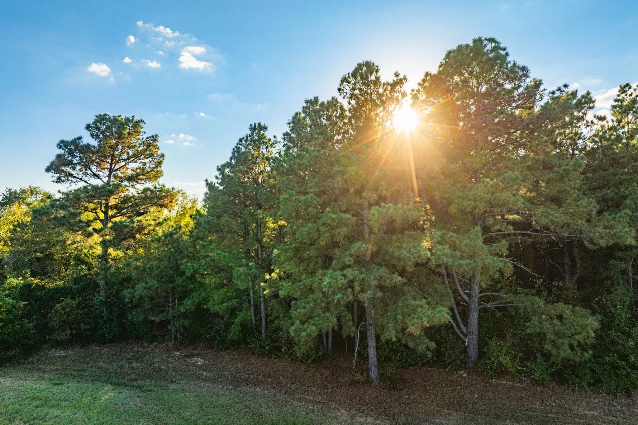 Ranch For Sale in Henderson County , 00 Cr-3411, Chandler, Texas 75758, 0, 0, Garage spaces, 0 Sqft, built in 0, mls#21073900, Real Estate Agent in Chandler, Homes For Sale in Henderson county, Homes For Sale in Chandler, Realtor in Chandler Texas, Real Estate Brokerage Independent Realty Texas, Luminita Cordes Realtor