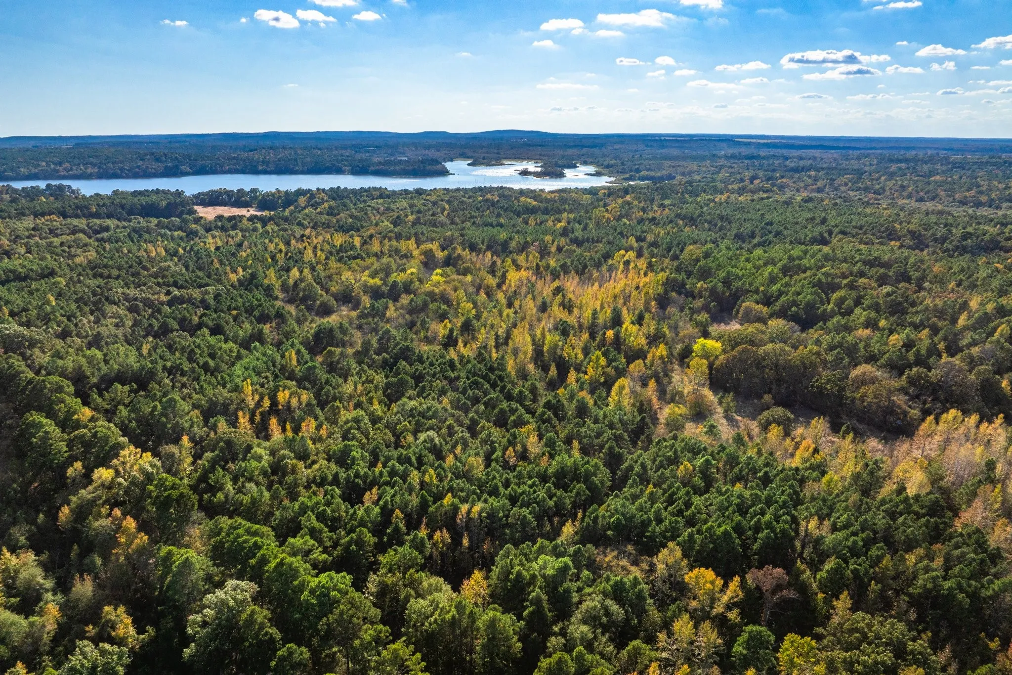 Ranch For Sale in Henderson County , 00 Cr-3411, Chandler, Texas 75758, 0, 0, Garage spaces, 0 Sqft, built in 0, mls#21073900, Real Estate Agent in Chandler, Homes For Sale in Henderson county, Homes For Sale in Chandler, Realtor in Chandler Texas, Real Estate Brokerage Independent Realty Texas, Luminita Cordes Realtor