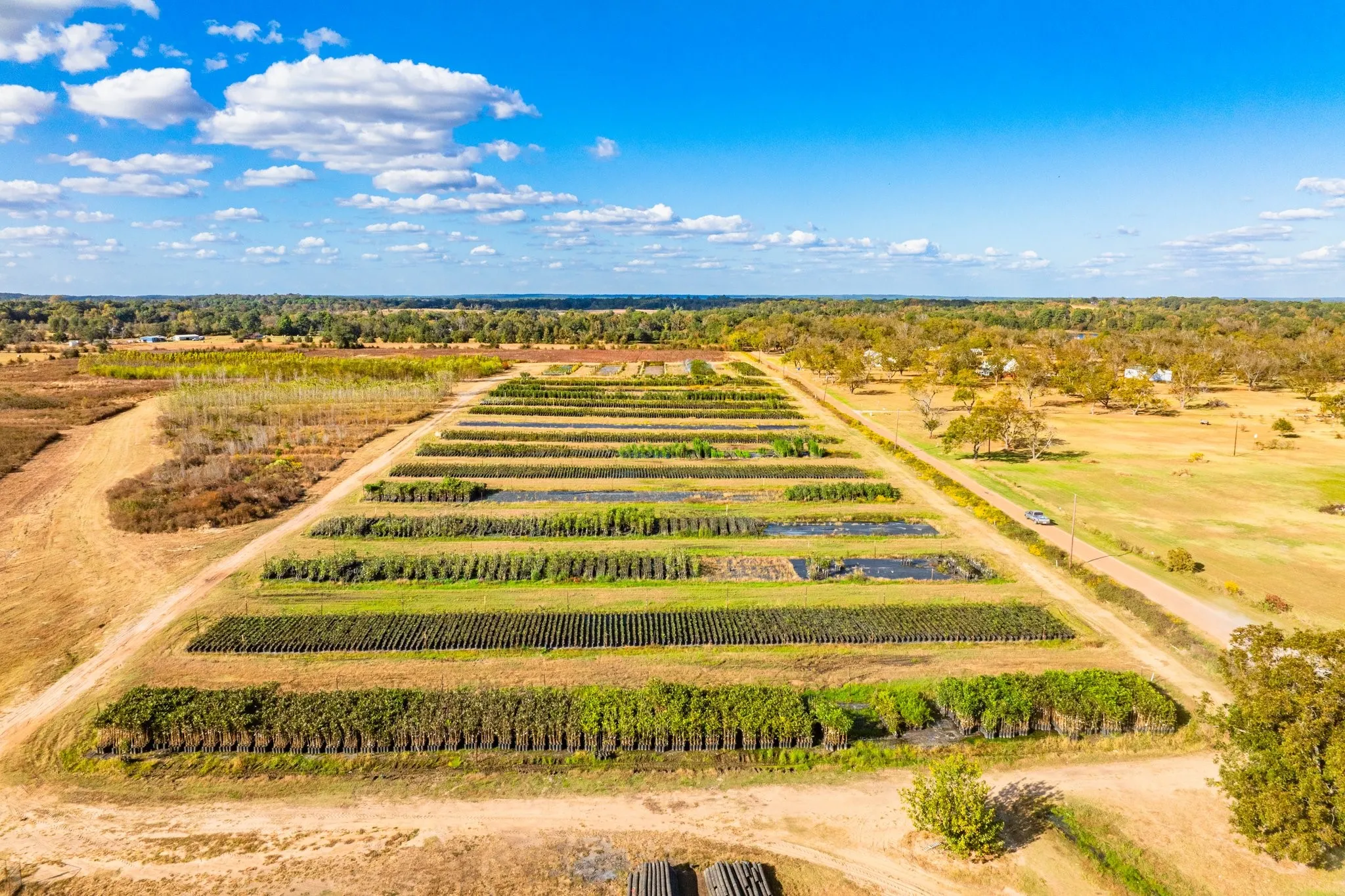 Ranch For Sale in Henderson County , 00 Cr-3411, Chandler, Texas 75758, 0, 0, Garage spaces, 0 Sqft, built in 0, mls#21073900, Real Estate Agent in Chandler, Homes For Sale in Henderson county, Homes For Sale in Chandler, Realtor in Chandler Texas, Real Estate Brokerage Independent Realty Texas, Luminita Cordes Realtor