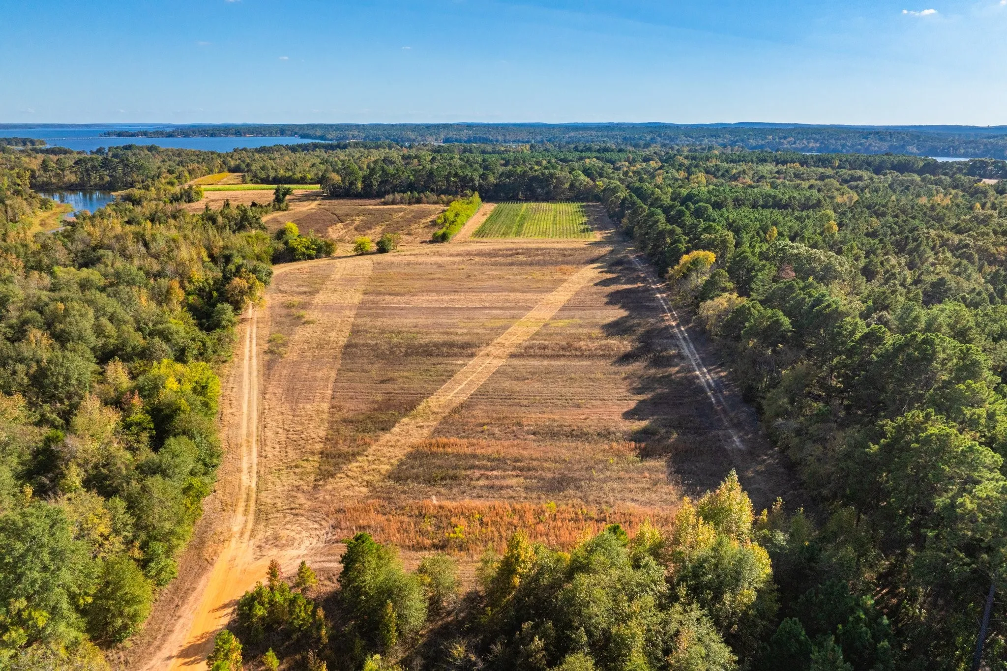 Ranch For Sale in Henderson County , 00 Cr-3411, Chandler, Texas 75758, 0, 0, Garage spaces, 0 Sqft, built in 0, mls#21073900, Real Estate Agent in Chandler, Homes For Sale in Henderson county, Homes For Sale in Chandler, Realtor in Chandler Texas, Real Estate Brokerage Independent Realty Texas, Luminita Cordes Realtor