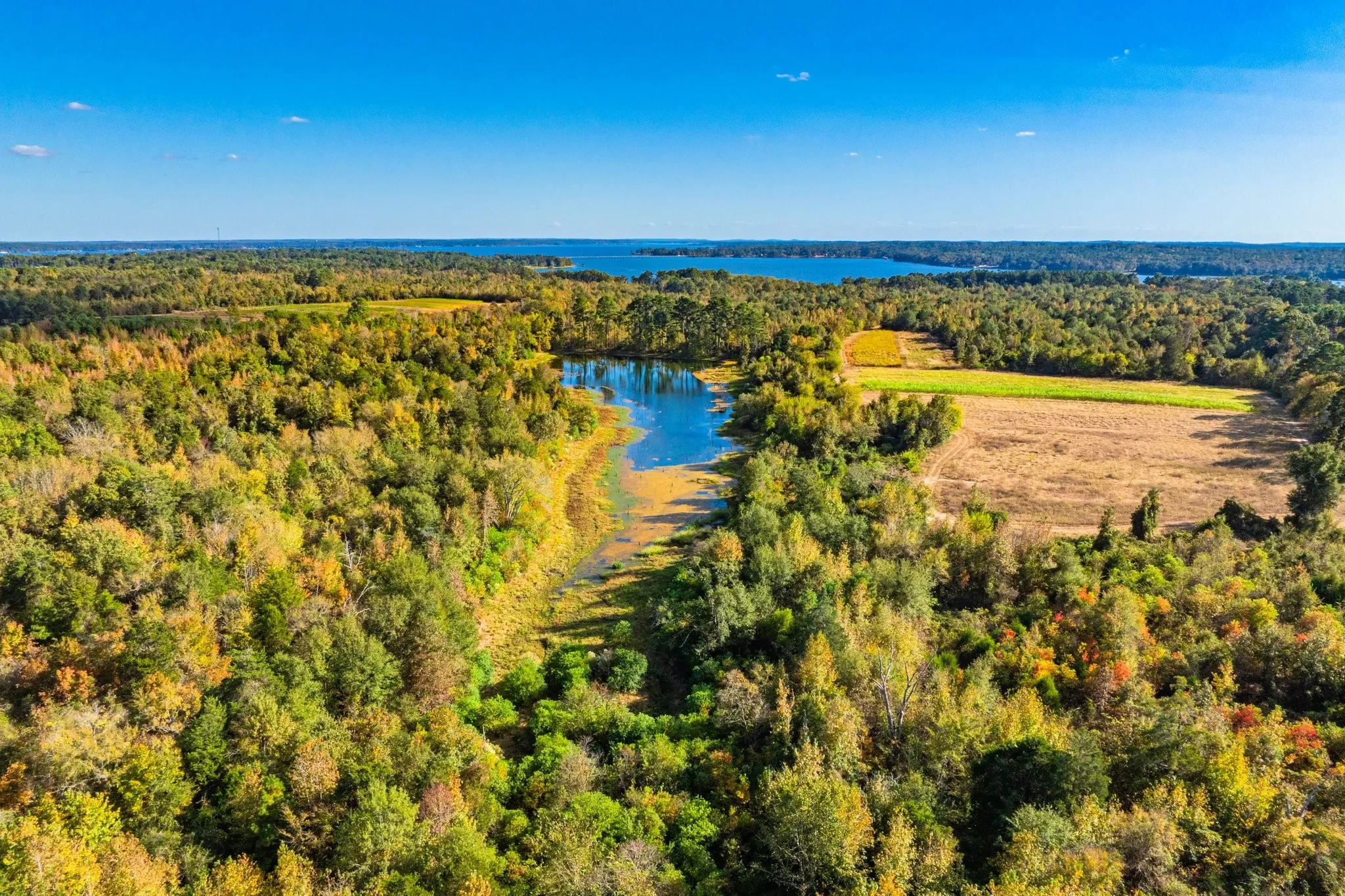 Ranch For Sale in Henderson County , 00 Cr-3411, Chandler, Texas 75758, 0, 0, Garage spaces, 0 Sqft, built in 0, mls#21073900, Real Estate Agent in Chandler, Homes For Sale in Henderson county, Homes For Sale in Chandler, Realtor in Chandler Texas, Real Estate Brokerage Independent Realty Texas, Luminita Cordes Realtor