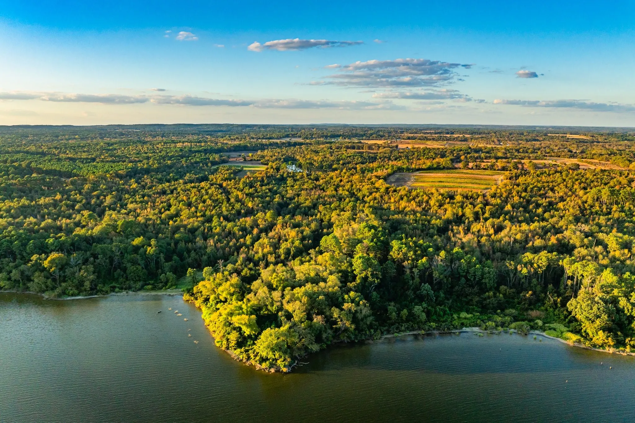 Ranch For Sale in Henderson County , 00 Cr-3411, Chandler, Texas 75758, 0, 0, Garage spaces, 0 Sqft, built in 0, mls#21073900, Real Estate Agent in Chandler, Homes For Sale in Henderson county, Homes For Sale in Chandler, Realtor in Chandler Texas, Real Estate Brokerage Independent Realty Texas, Luminita Cordes Realtor