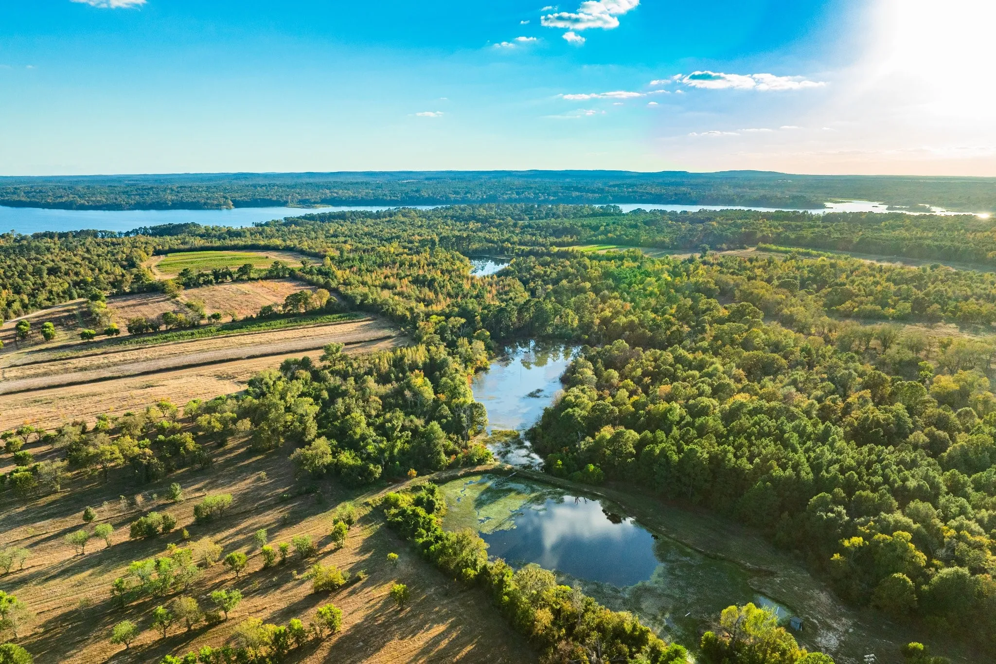 Ranch For Sale in Henderson County , 00 Cr-3411, Chandler, Texas 75758, 0, 0, Garage spaces, 0 Sqft, built in 0, mls#21073900, Real Estate Agent in Chandler, Homes For Sale in Henderson county, Homes For Sale in Chandler, Realtor in Chandler Texas, Real Estate Brokerage Independent Realty Texas, Luminita Cordes Realtor