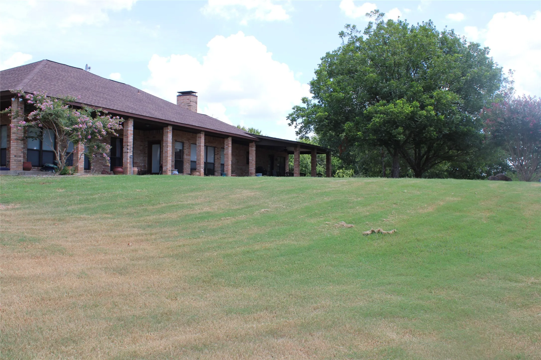 View of backyard