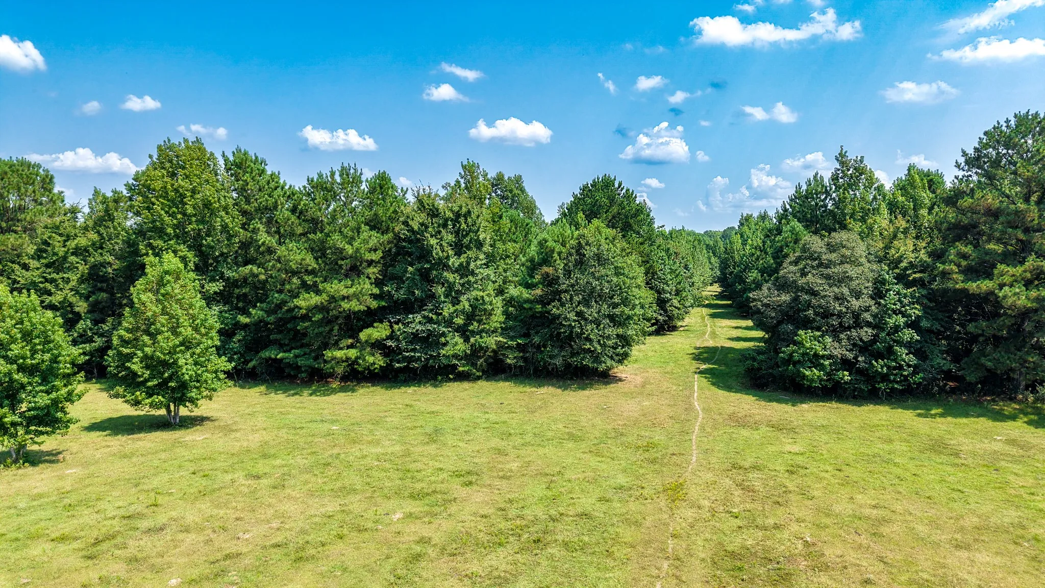 Ranch For Sale in Marion County , 00 HWY 49, Jefferson, Texas 75657, 0, 0, Garage spaces, 0 Sqft, built in 0, Price $449,000, mls#21074051, Real Estate Agent in Jefferson, Homes For Sale in Marion county, Homes For Sale in Jefferson, Realtor in Jefferson Texas, Real Estate Brokerage Independent Realty Texas, Luminita Cordes Realtor