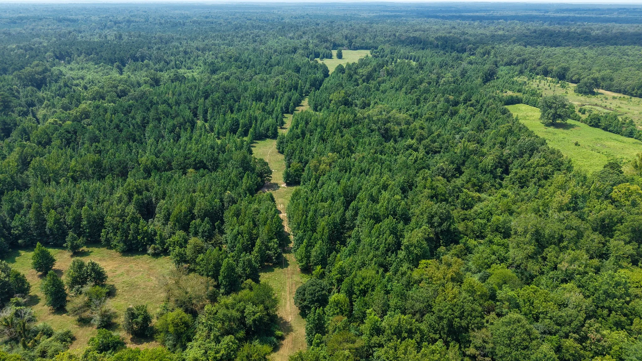 Ranch For Sale in Marion County , 00 HWY 49, Jefferson, Texas 75657, 0, 0, Garage spaces, 0 Sqft, built in 0, Price $449,000, mls#21074051, Real Estate Agent in Jefferson, Homes For Sale in Marion county, Homes For Sale in Jefferson, Realtor in Jefferson Texas, Real Estate Brokerage Independent Realty Texas, Luminita Cordes Realtor