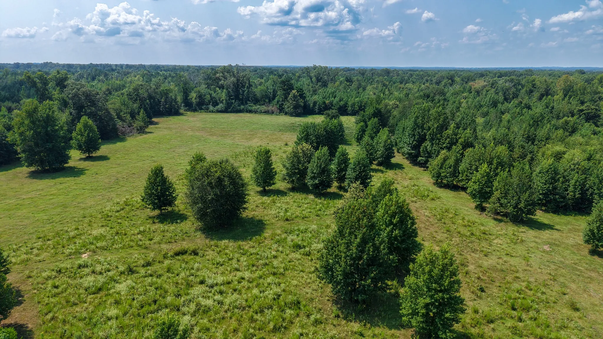 Ranch For Sale in Marion County , 00 HWY 49, Jefferson, Texas 75657, 0, 0, Garage spaces, 0 Sqft, built in 0, Price $449,000, mls#21074051, Real Estate Agent in Jefferson, Homes For Sale in Marion county, Homes For Sale in Jefferson, Realtor in Jefferson Texas, Real Estate Brokerage Independent Realty Texas, Luminita Cordes Realtor