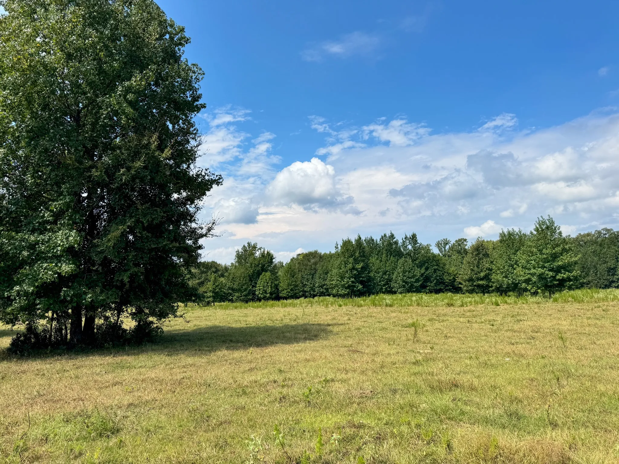 Ranch For Sale in Marion County , 00 HWY 49, Jefferson, Texas 75657, 0, 0, Garage spaces, 0 Sqft, built in 0, Price $449,000, mls#21074051, Real Estate Agent in Jefferson, Homes For Sale in Marion county, Homes For Sale in Jefferson, Realtor in Jefferson Texas, Real Estate Brokerage Independent Realty Texas, Luminita Cordes Realtor