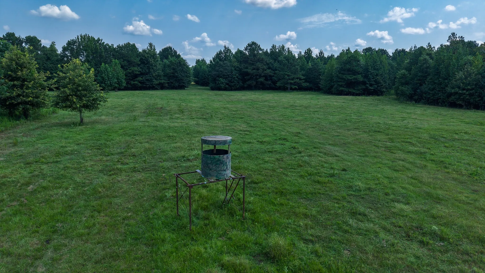 Ranch For Sale in Marion County , 00 HWY 49, Jefferson, Texas 75657, 0, 0, Garage spaces, 0 Sqft, built in 0, Price $449,000, mls#21074051, Real Estate Agent in Jefferson, Homes For Sale in Marion county, Homes For Sale in Jefferson, Realtor in Jefferson Texas, Real Estate Brokerage Independent Realty Texas, Luminita Cordes Realtor