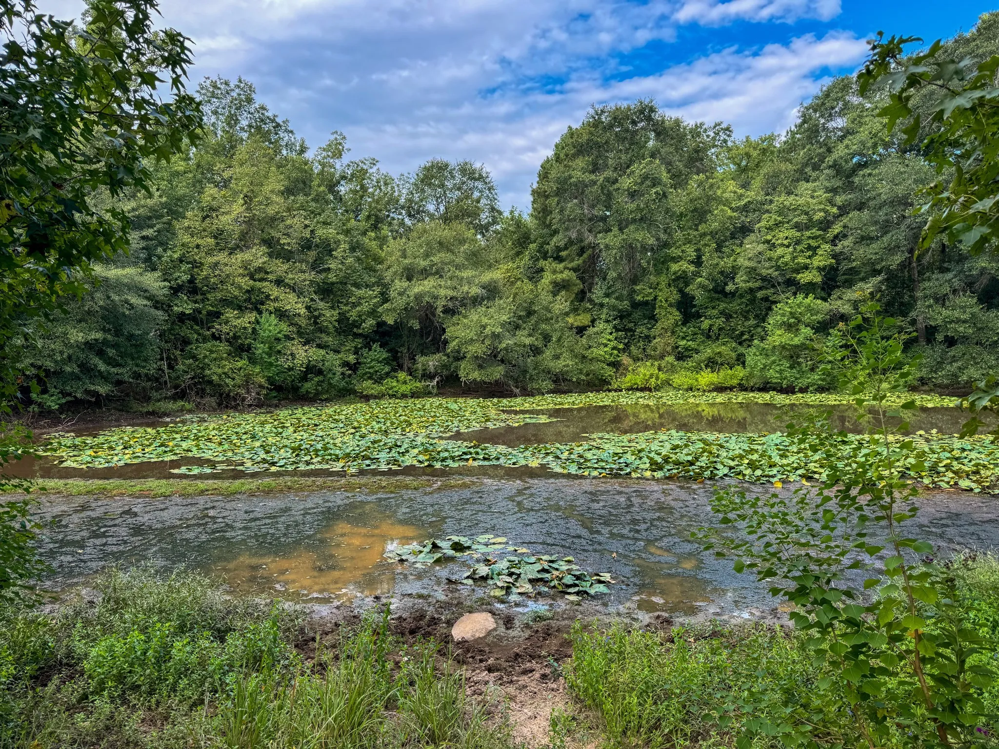 Ranch For Sale in Marion County , 00 HWY 49, Jefferson, Texas 75657, 0, 0, Garage spaces, 0 Sqft, built in 0, Price $449,000, mls#21074051, Real Estate Agent in Jefferson, Homes For Sale in Marion county, Homes For Sale in Jefferson, Realtor in Jefferson Texas, Real Estate Brokerage Independent Realty Texas, Luminita Cordes Realtor