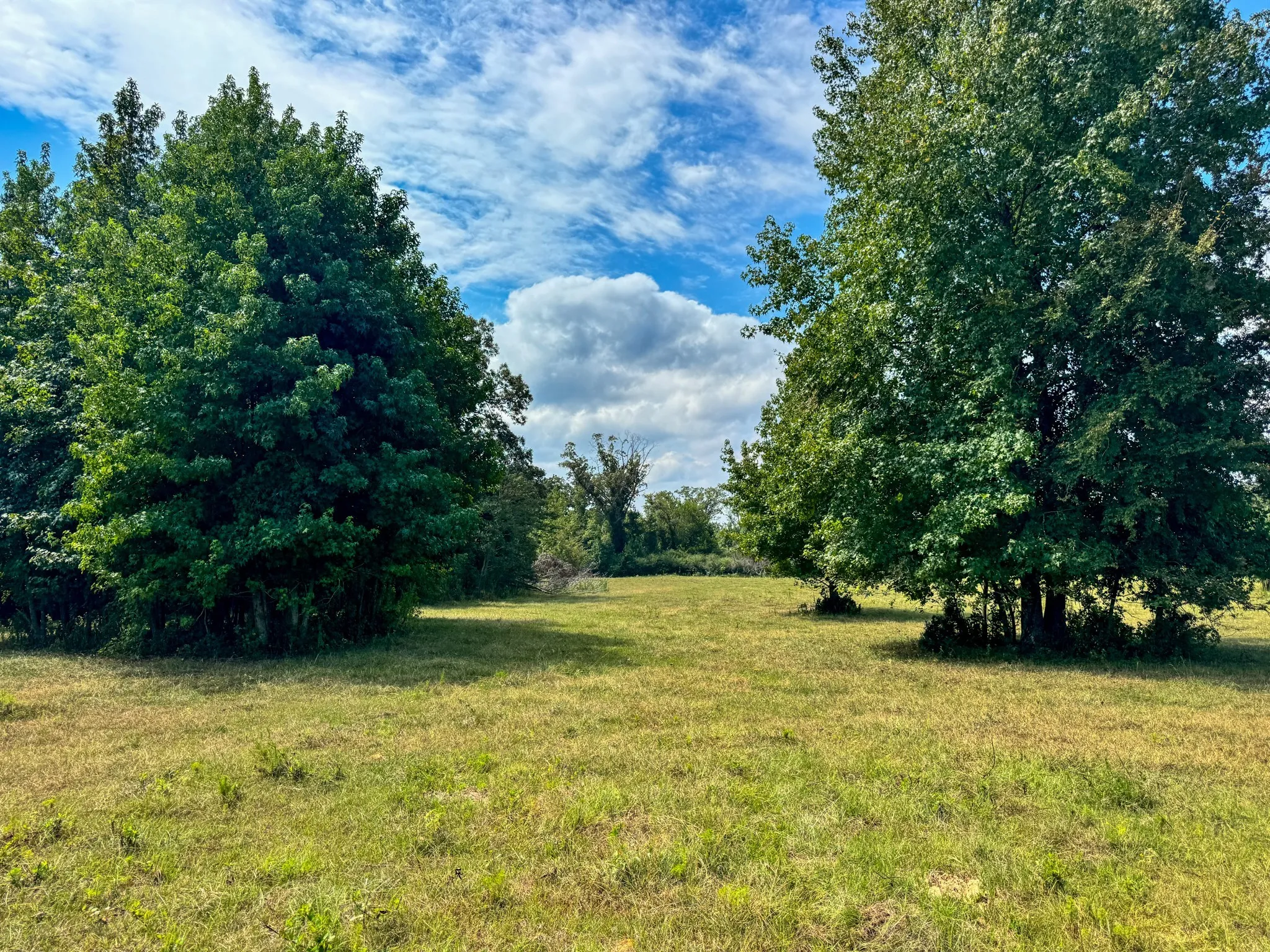 Ranch For Sale in Marion County , 00 HWY 49, Jefferson, Texas 75657, 0, 0, Garage spaces, 0 Sqft, built in 0, Price $449,000, mls#21074051, Real Estate Agent in Jefferson, Homes For Sale in Marion county, Homes For Sale in Jefferson, Realtor in Jefferson Texas, Real Estate Brokerage Independent Realty Texas, Luminita Cordes Realtor