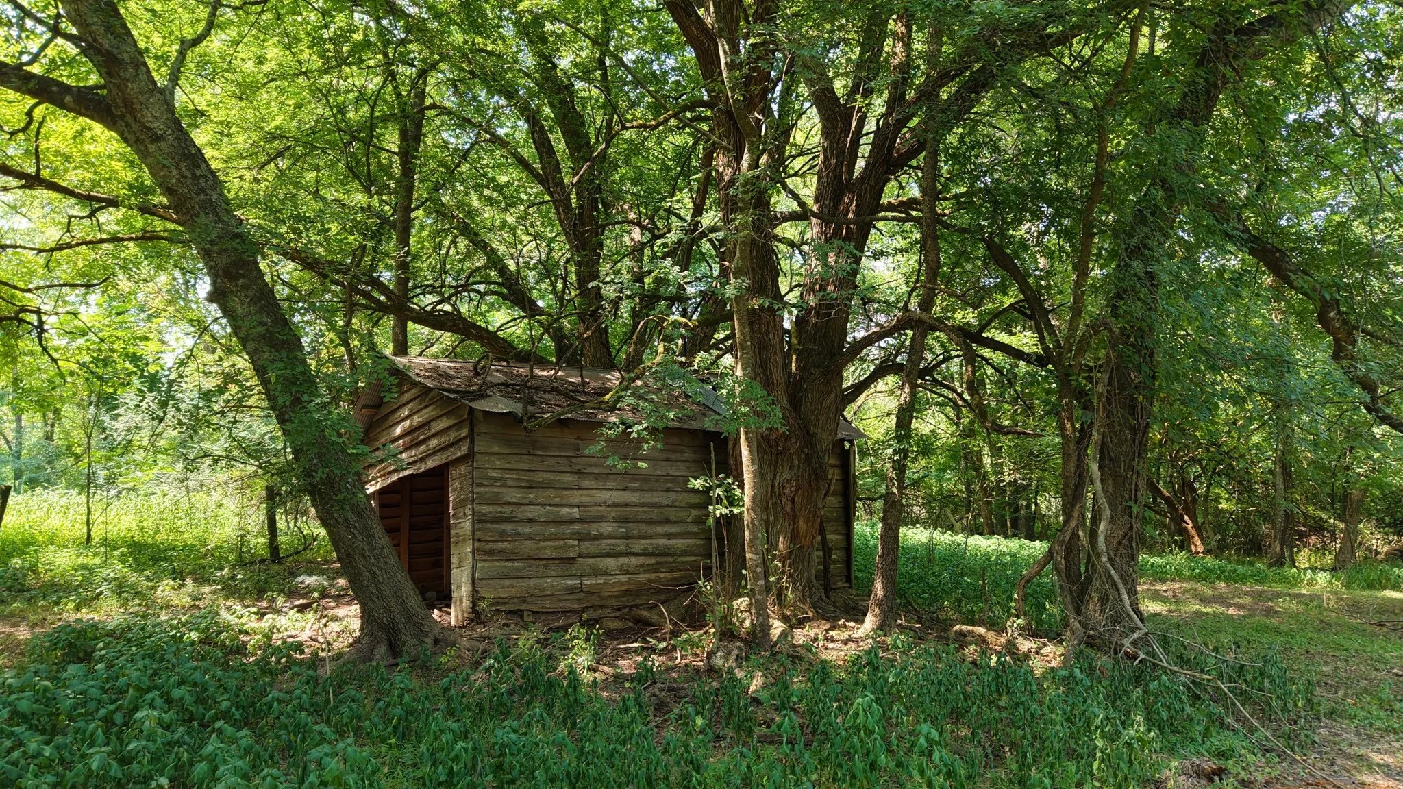 Ranch For Sale in Marion County , 00 HWY 49, Jefferson, Texas 75657, 0, 0, Garage spaces, 0 Sqft, built in 0, Price $449,000, mls#21074051, Real Estate Agent in Jefferson, Homes For Sale in Marion county, Homes For Sale in Jefferson, Realtor in Jefferson Texas, Real Estate Brokerage Independent Realty Texas, Luminita Cordes Realtor