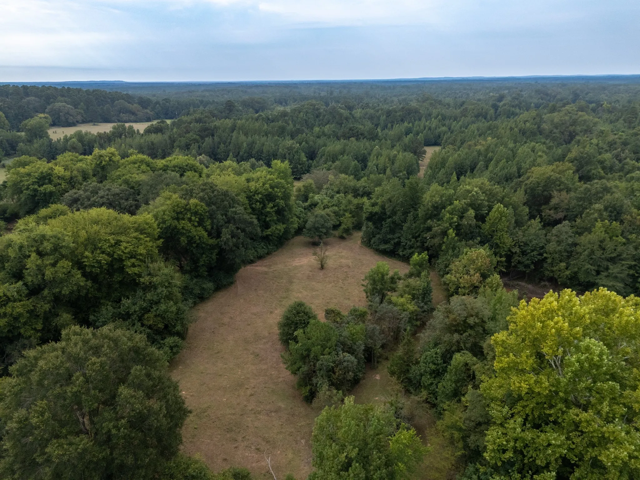 Ranch For Sale in Marion County , 00 HWY 49, Jefferson, Texas 75657, 0, 0, Garage spaces, 0 Sqft, built in 0, Price $449,000, mls#21074051, Real Estate Agent in Jefferson, Homes For Sale in Marion county, Homes For Sale in Jefferson, Realtor in Jefferson Texas, Real Estate Brokerage Independent Realty Texas, Luminita Cordes Realtor
