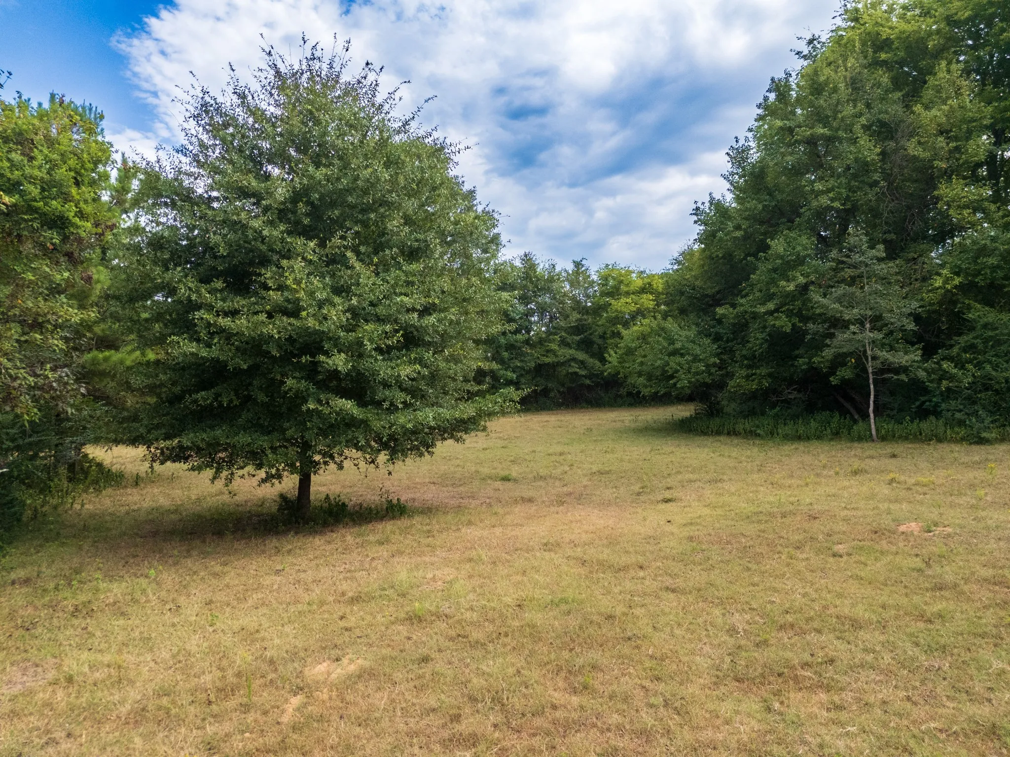 Ranch For Sale in Marion County , 00 HWY 49, Jefferson, Texas 75657, 0, 0, Garage spaces, 0 Sqft, built in 0, Price $449,000, mls#21074051, Real Estate Agent in Jefferson, Homes For Sale in Marion county, Homes For Sale in Jefferson, Realtor in Jefferson Texas, Real Estate Brokerage Independent Realty Texas, Luminita Cordes Realtor