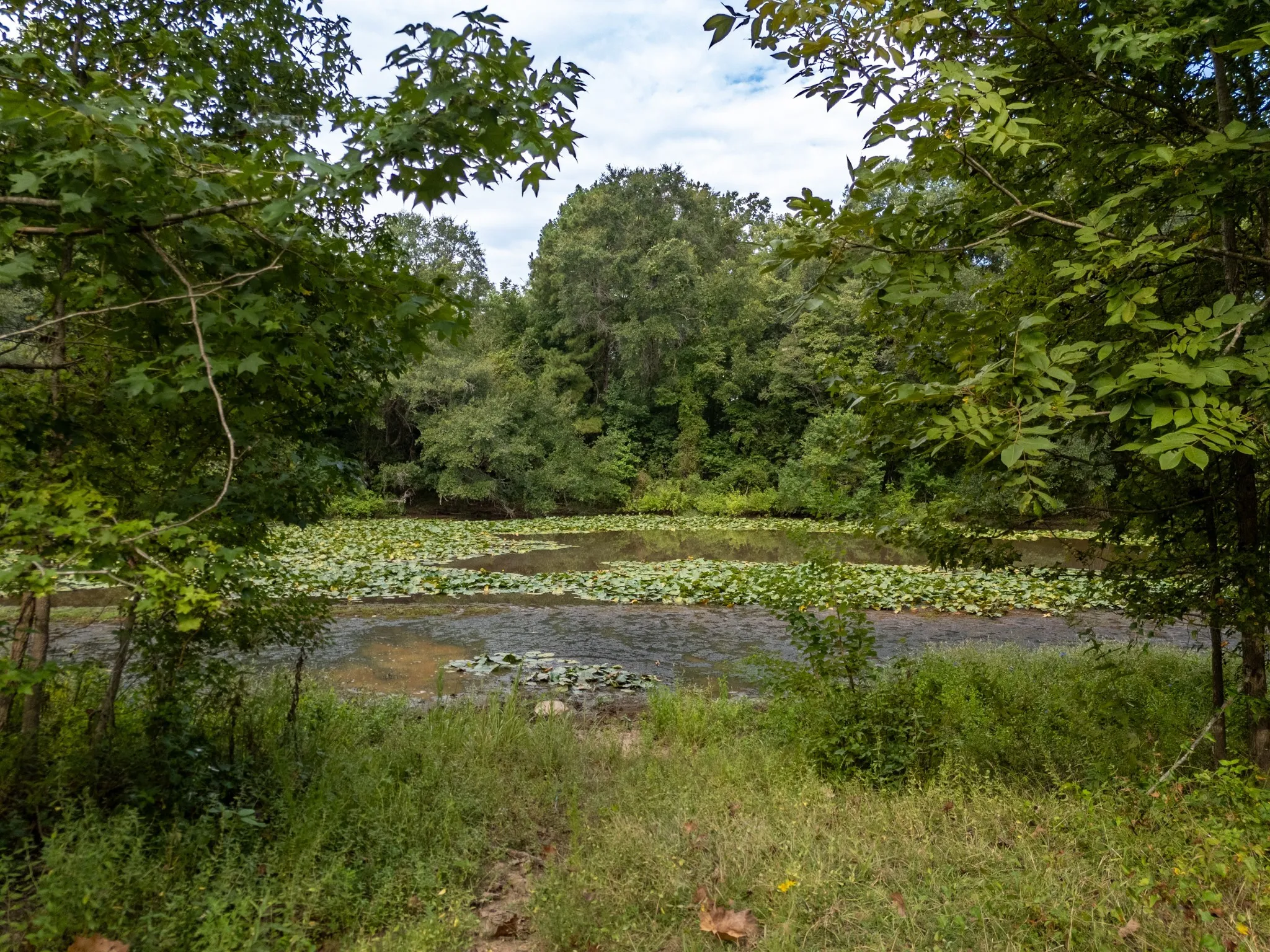 Ranch For Sale in Marion County , 00 HWY 49, Jefferson, Texas 75657, 0, 0, Garage spaces, 0 Sqft, built in 0, Price $449,000, mls#21074051, Real Estate Agent in Jefferson, Homes For Sale in Marion county, Homes For Sale in Jefferson, Realtor in Jefferson Texas, Real Estate Brokerage Independent Realty Texas, Luminita Cordes Realtor