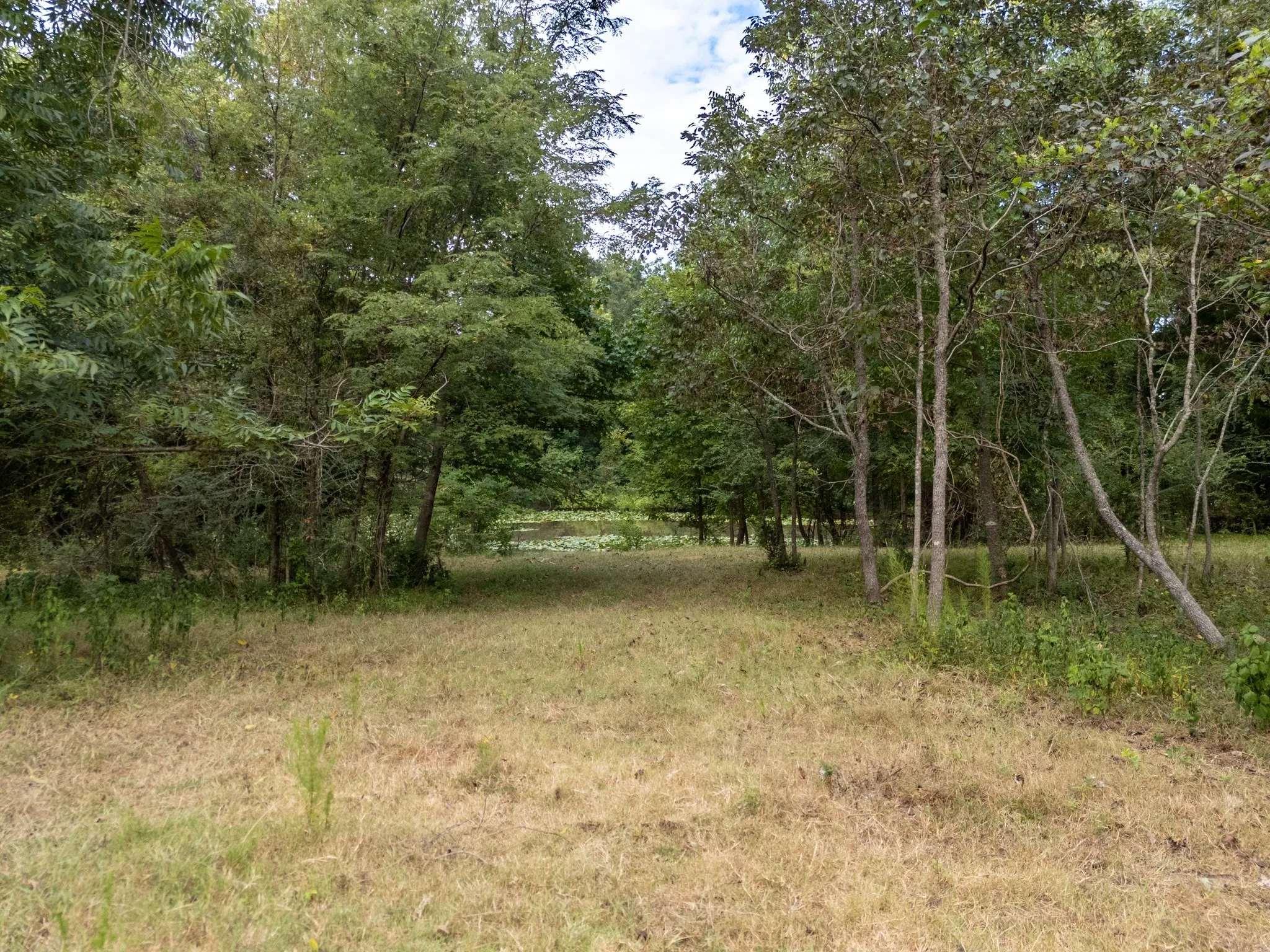 Ranch For Sale in Marion County , 00 HWY 49, Jefferson, Texas 75657, 0, 0, Garage spaces, 0 Sqft, built in 0, Price $449,000, mls#21074051, Real Estate Agent in Jefferson, Homes For Sale in Marion county, Homes For Sale in Jefferson, Realtor in Jefferson Texas, Real Estate Brokerage Independent Realty Texas, Luminita Cordes Realtor