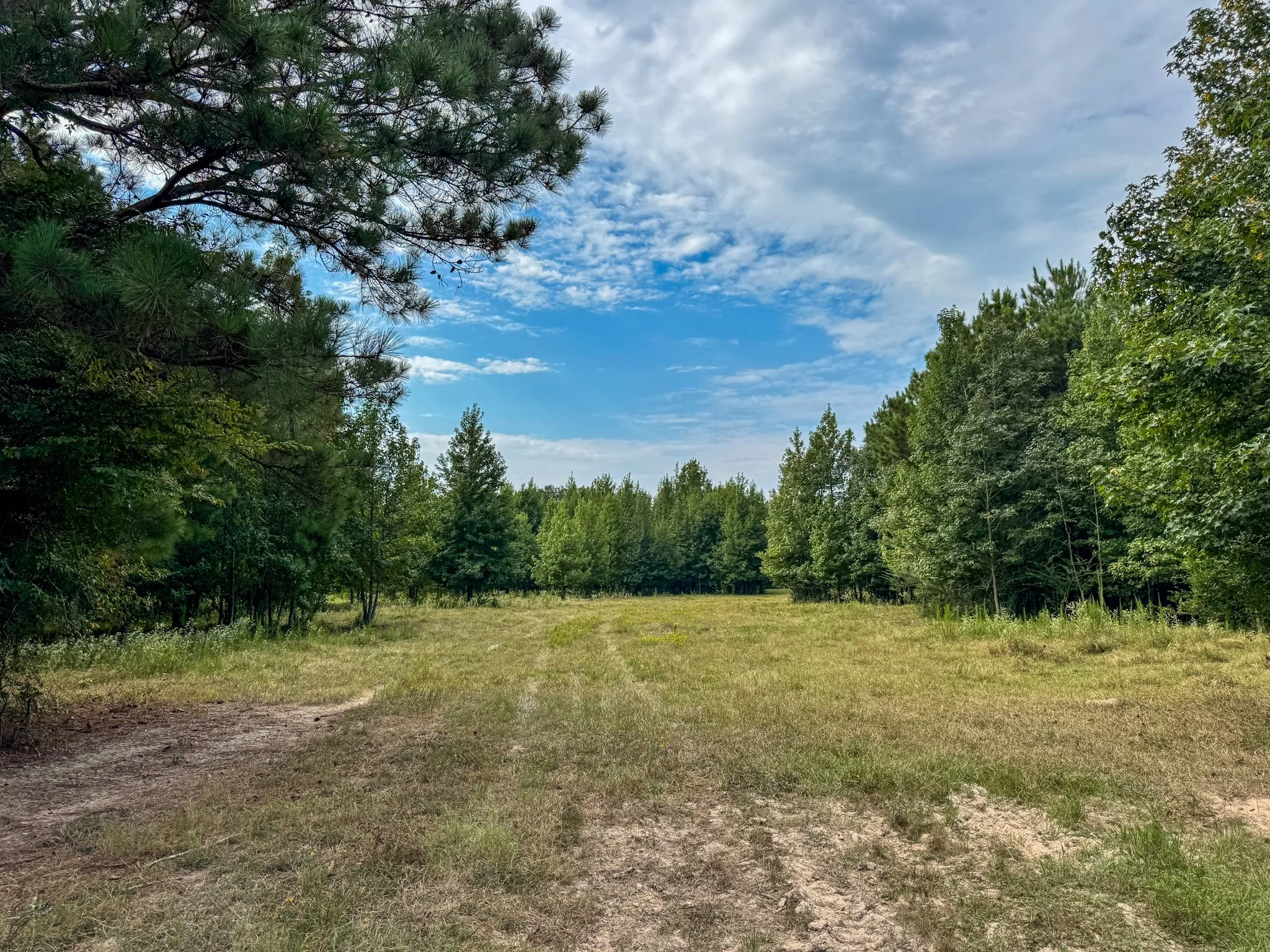 Ranch For Sale in Marion County , 00 HWY 49, Jefferson, Texas 75657, 0, 0, Garage spaces, 0 Sqft, built in 0, Price $449,000, mls#21074051, Real Estate Agent in Jefferson, Homes For Sale in Marion county, Homes For Sale in Jefferson, Realtor in Jefferson Texas, Real Estate Brokerage Independent Realty Texas, Luminita Cordes Realtor
