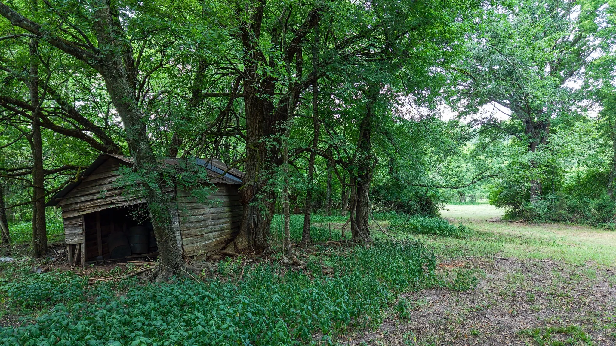Ranch For Sale in Marion County , 00 HWY 49, Jefferson, Texas 75657, 0, 0, Garage spaces, 0 Sqft, built in 0, Price $449,000, mls#21074051, Real Estate Agent in Jefferson, Homes For Sale in Marion county, Homes For Sale in Jefferson, Realtor in Jefferson Texas, Real Estate Brokerage Independent Realty Texas, Luminita Cordes Realtor