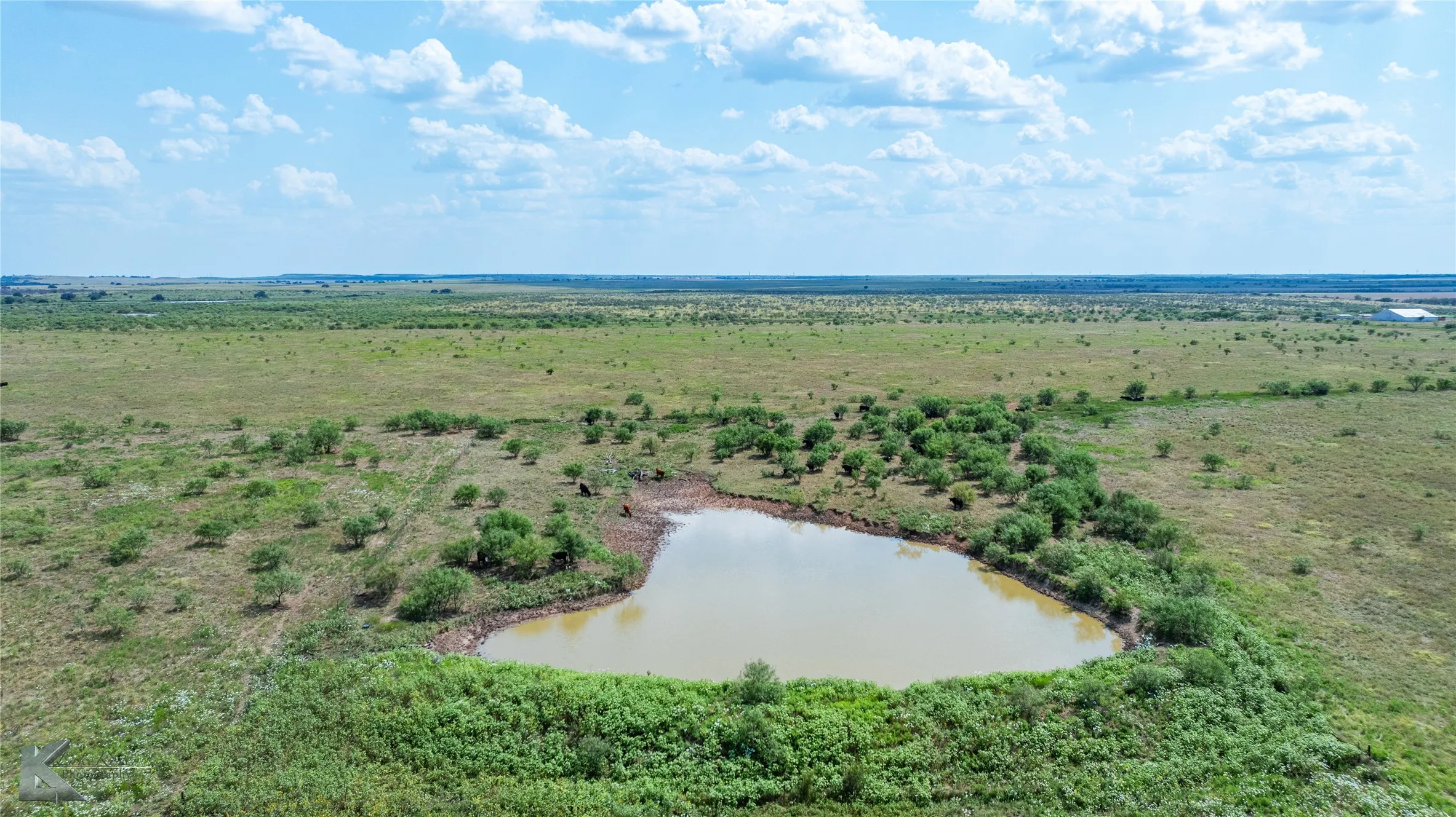 Ranch For Sale in Throckmorton County , 1208 County Road 304, Throckmorton, Texas 76843, 0, 0, Garage spaces, 0 Sqft, built in 0, mls#21073533, Real Estate Agent in Throckmorton, Homes For Sale in Throckmorton county, Homes For Sale in Throckmorton, Realtor in Throckmorton Texas, Real Estate Brokerage Independent Realty Texas, Luminita Cordes Realtor