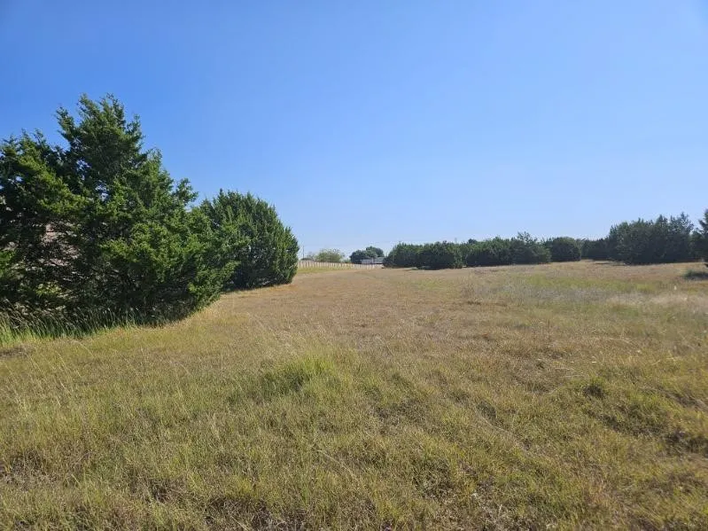 Improved Land For Sale in Dallas County , 1000 S Joe Wilson Road, Cedar Hill, Texas 75104, 0, 0, Garage spaces, 0 Sqft, built in 0, mls#21072286, Real Estate Agent in Cedar Hill, Homes For Sale in Dallas county, Homes For Sale in Cedar Hill, Realtor in Cedar Hill Texas, Real Estate Brokerage Independent Realty Texas, Luminita Cordes Realtor