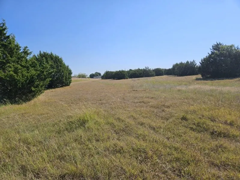 Improved Land For Sale in Dallas County , 1000 S Joe Wilson Road, Cedar Hill, Texas 75104, 0, 0, Garage spaces, 0 Sqft, built in 0, mls#21072286, Real Estate Agent in Cedar Hill, Homes For Sale in Dallas county, Homes For Sale in Cedar Hill, Realtor in Cedar Hill Texas, Real Estate Brokerage Independent Realty Texas, Luminita Cordes Realtor