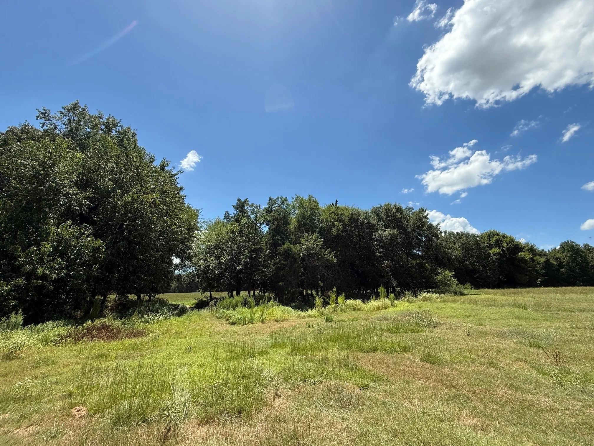 View of undeveloped land featuring rural landscape