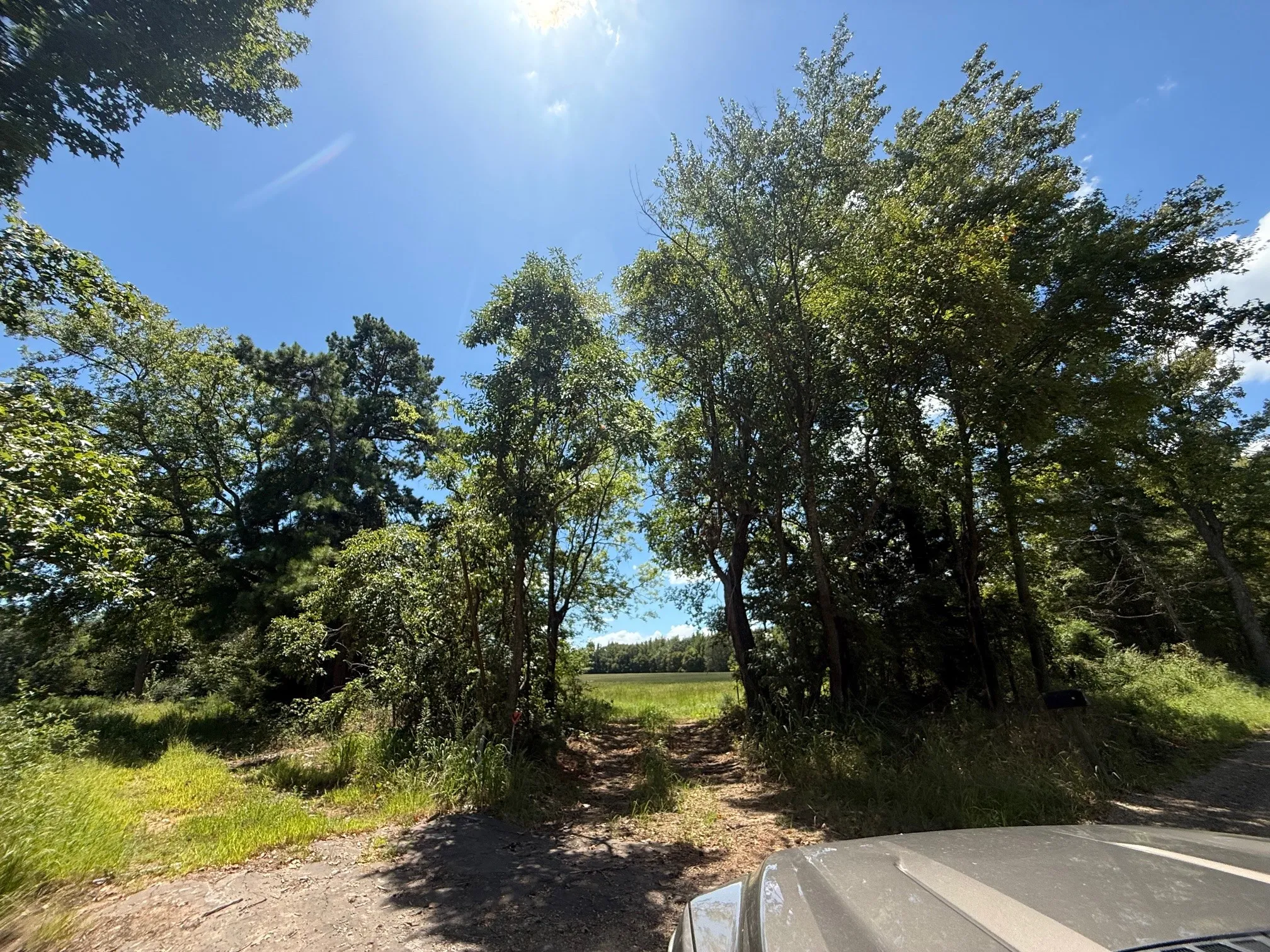 View of dirt / gravel road