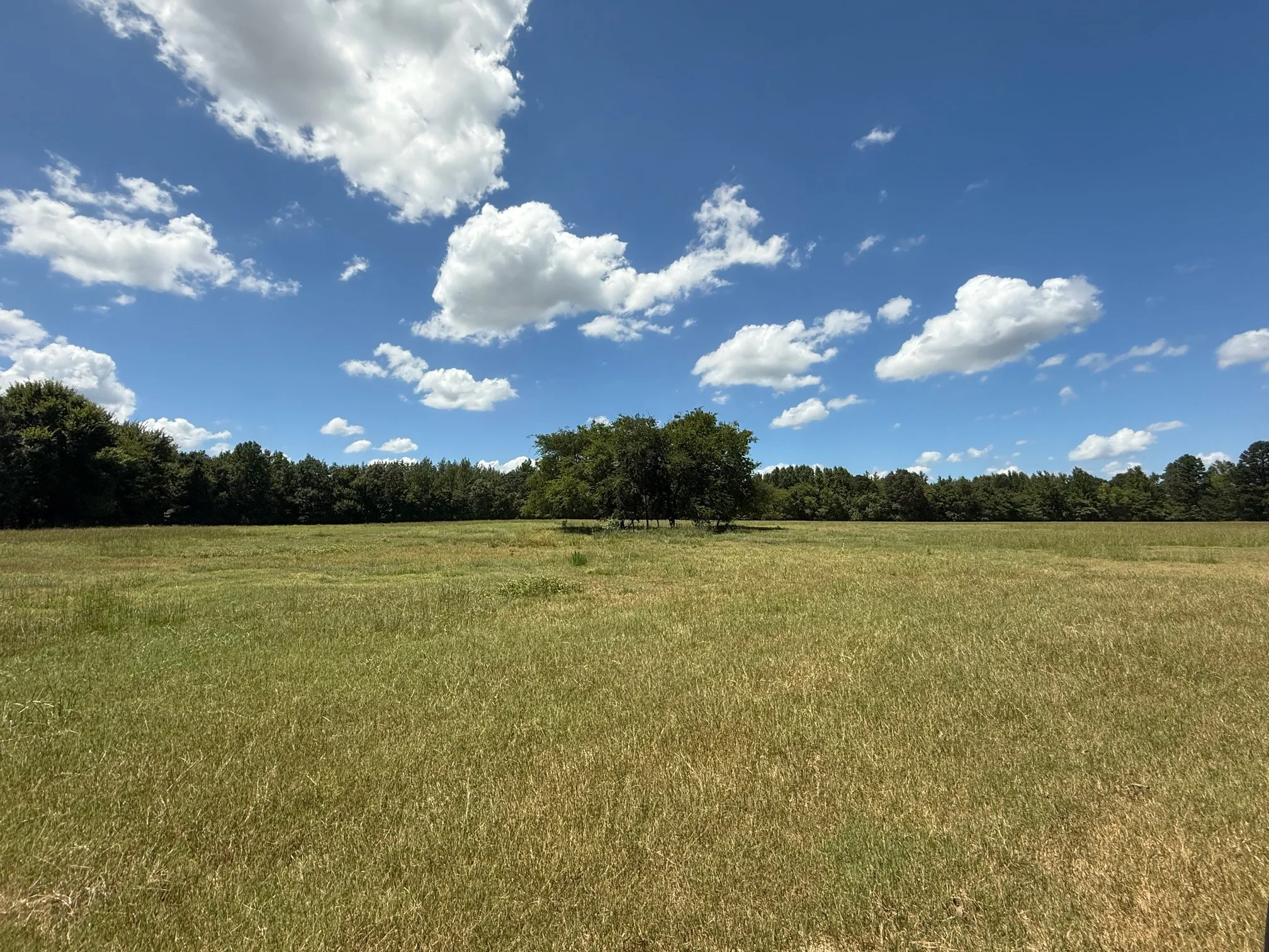 View of woods featuring a rural view