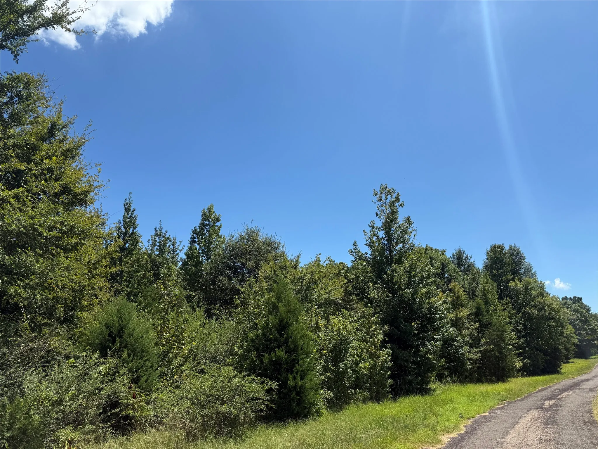 Unimproved Land For Sale in Titus County , TBD CR 1662, Mt Pleasant, Texas 75455, 0, 0, Garage spaces, 0 Sqft, built in 0, Price $425,000, mls#21074753, Real Estate Agent in Mt Pleasant, Homes For Sale in Titus county, Homes For Sale in Mt Pleasant, Realtor in Mt Pleasant Texas, Real Estate Brokerage Independent Realty Texas, Luminita Cordes Realtor