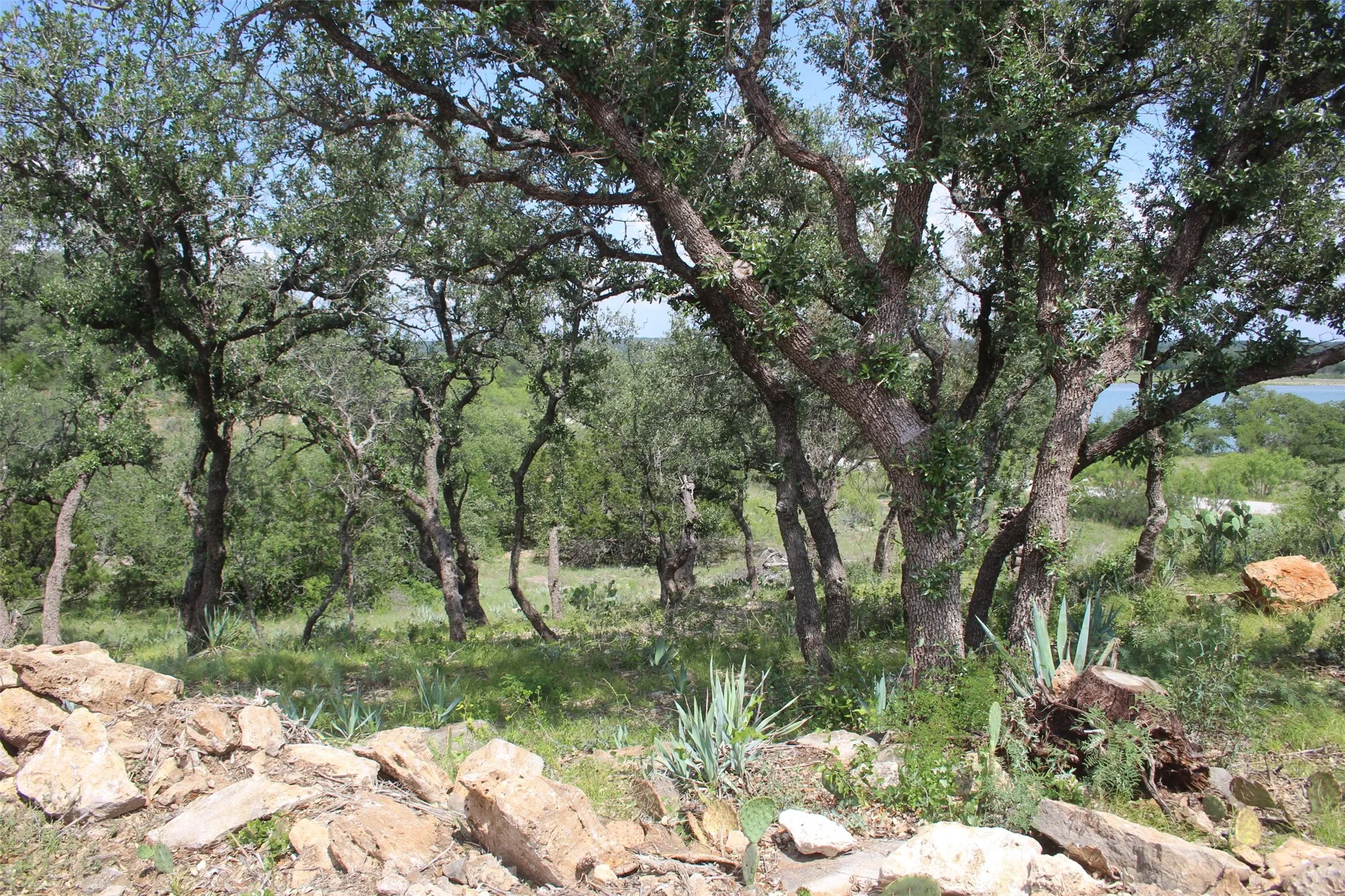 Unimproved Land For Sale in Brown County , 7543 FEATHER BAY Drive, Brownwood, Texas 76801, 0, 0, Garage spaces, 0 Sqft, built in 0, mls#21074848, Real Estate Agent in Brownwood, Homes For Sale in Brown county, Homes For Sale in Brownwood, Realtor in Brownwood Texas, Real Estate Brokerage Independent Realty Texas, Luminita Cordes Realtor