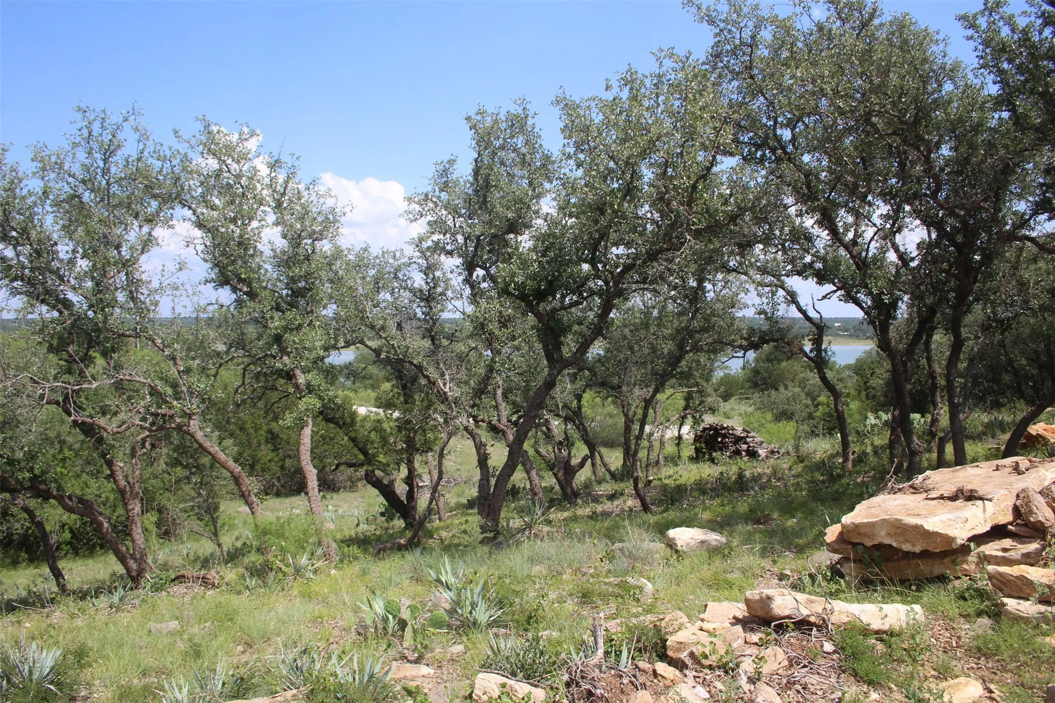 Unimproved Land For Sale in Brown County , 7543 FEATHER BAY Drive, Brownwood, Texas 76801, 0, 0, Garage spaces, 0 Sqft, built in 0, mls#21074848, Real Estate Agent in Brownwood, Homes For Sale in Brown county, Homes For Sale in Brownwood, Realtor in Brownwood Texas, Real Estate Brokerage Independent Realty Texas, Luminita Cordes Realtor