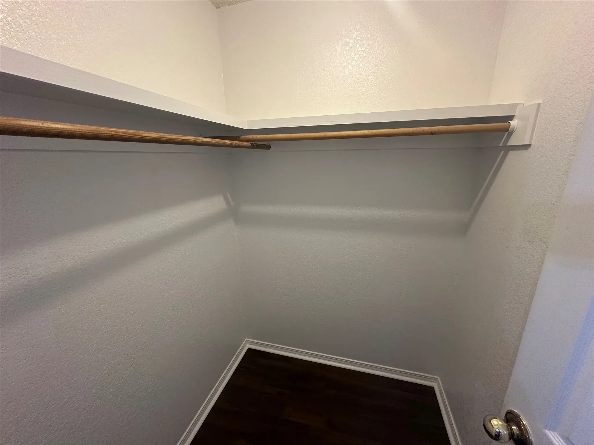 Spacious closet with dark wood-style flooring