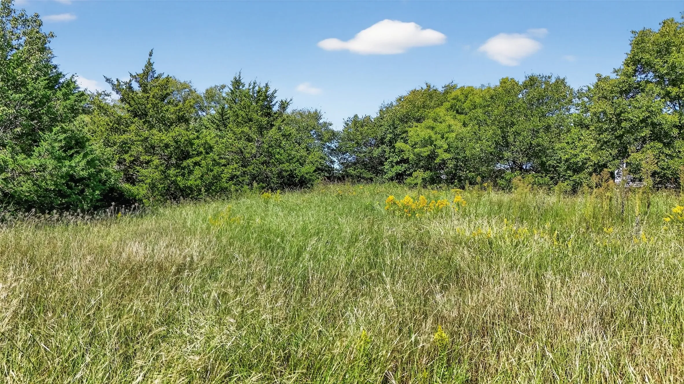 Unimproved Land For Sale in Grayson County , TBD Sistrunk Street, Sherman, Texas 75090, 0, 0, Garage spaces, 0 Sqft, built in 0, mls#21066510, Real Estate Agent in Sherman, Homes For Sale in Grayson county, Homes For Sale in Sherman, Realtor in Sherman Texas, Real Estate Brokerage Independent Realty Texas, Luminita Cordes Realtor