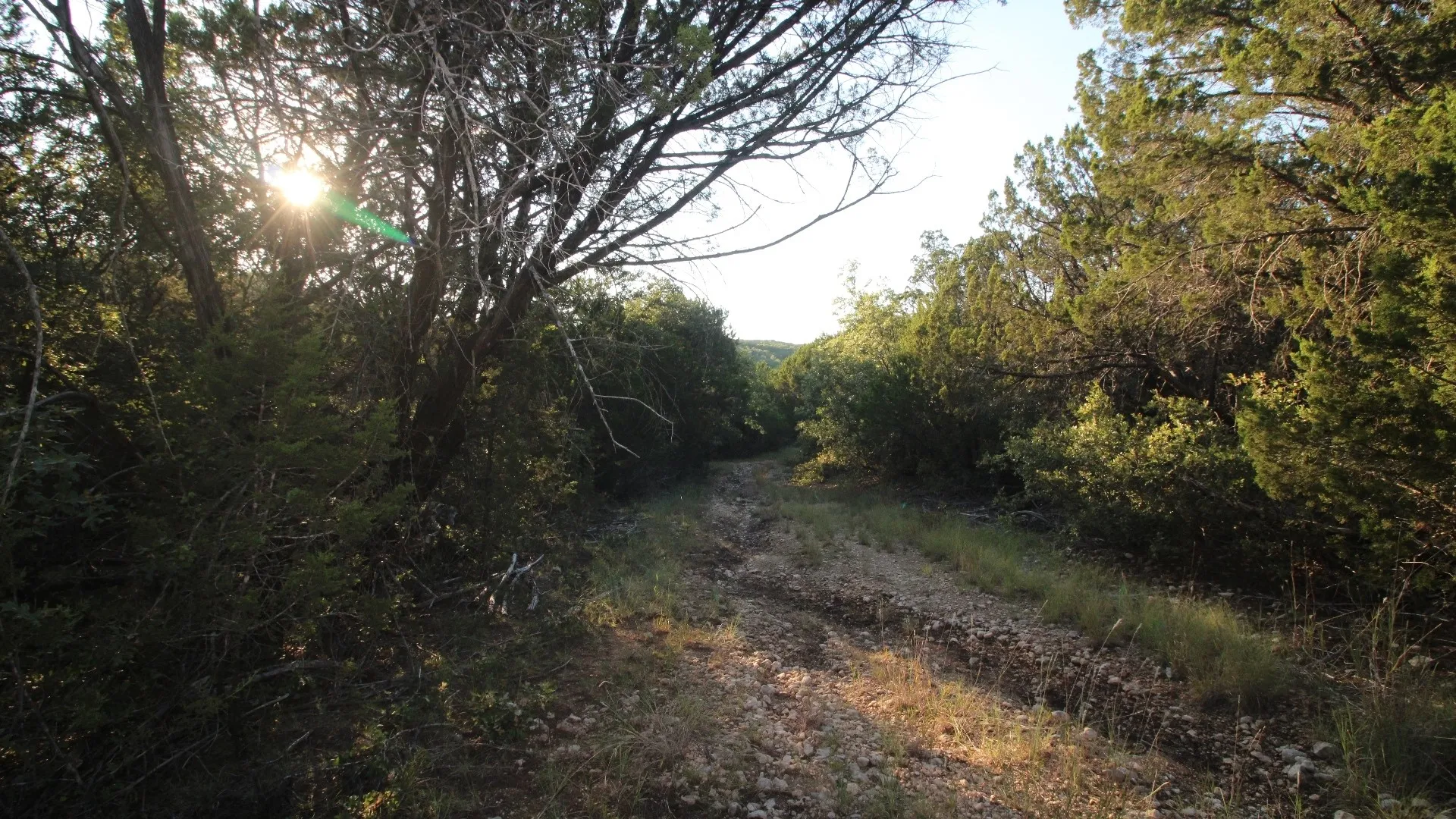 Unimproved Land For Sale in Taylor County , TBD Old Coleman, Abilene, Texas 79602, 0, 0, Garage spaces, 0 Sqft, built in 0, Price $2,995,000, mls#21075605, Real Estate Agent in Abilene, Homes For Sale in Taylor county, Homes For Sale in Abilene, Realtor in Abilene Texas, Real Estate Brokerage Independent Realty Texas, Luminita Cordes Realtor