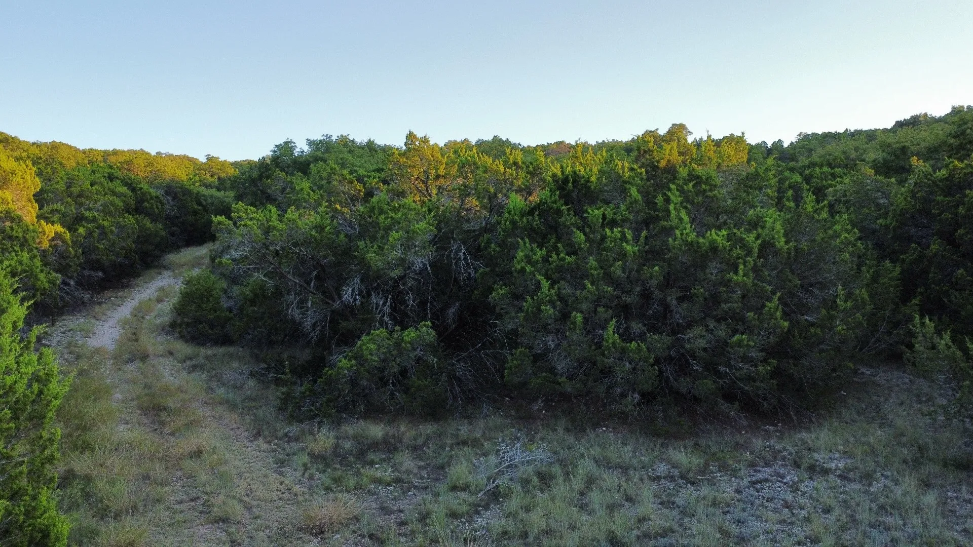 Unimproved Land For Sale in Taylor County , TBD Old Coleman, Abilene, Texas 79602, 0, 0, Garage spaces, 0 Sqft, built in 0, Price $2,995,000, mls#21075605, Real Estate Agent in Abilene, Homes For Sale in Taylor county, Homes For Sale in Abilene, Realtor in Abilene Texas, Real Estate Brokerage Independent Realty Texas, Luminita Cordes Realtor