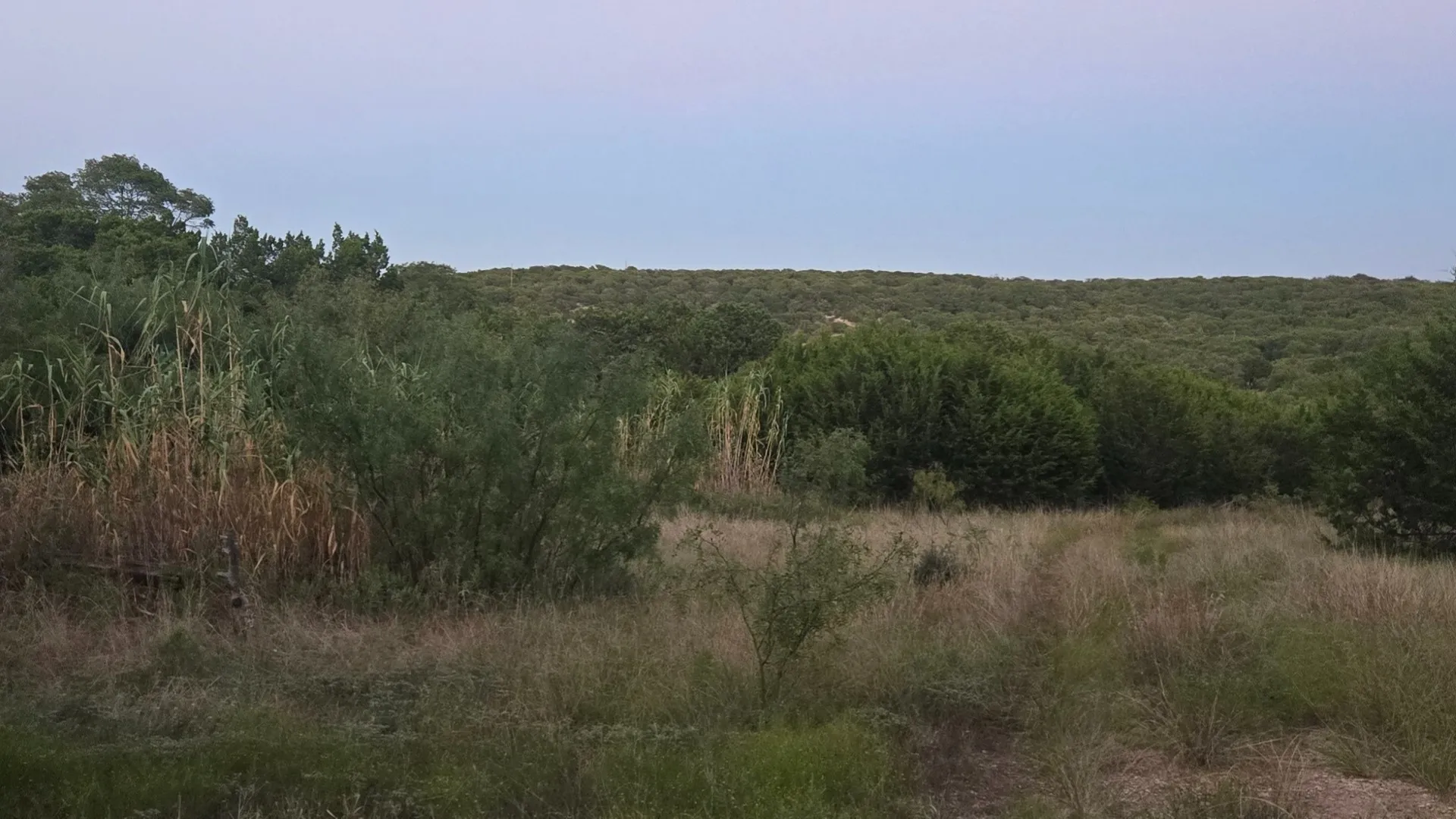Unimproved Land For Sale in Taylor County , TBD Old Coleman, Abilene, Texas 79602, 0, 0, Garage spaces, 0 Sqft, built in 0, Price $2,995,000, mls#21075605, Real Estate Agent in Abilene, Homes For Sale in Taylor county, Homes For Sale in Abilene, Realtor in Abilene Texas, Real Estate Brokerage Independent Realty Texas, Luminita Cordes Realtor