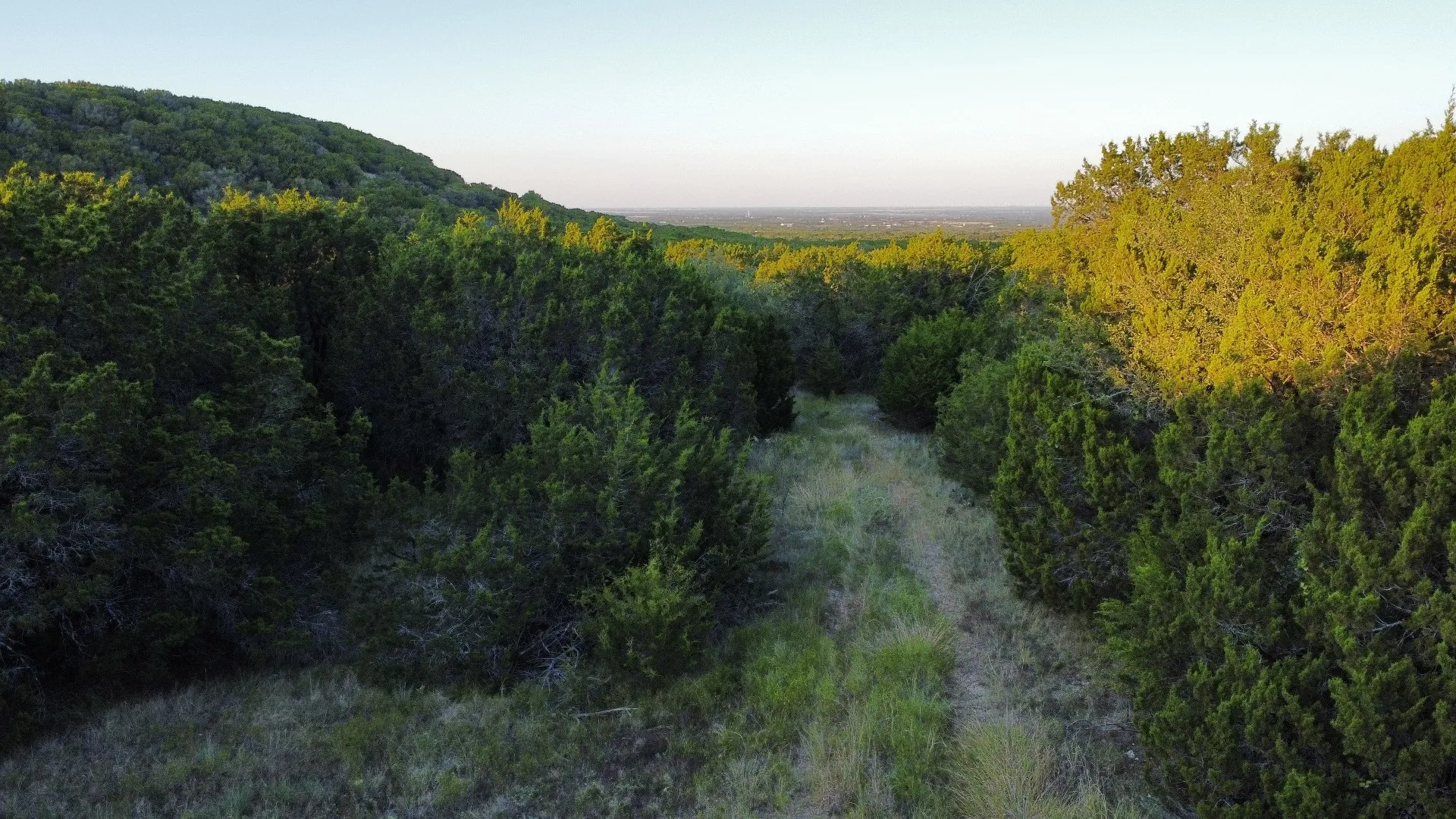 Unimproved Land For Sale in Taylor County , TBD Old Coleman, Abilene, Texas 79602, 0, 0, Garage spaces, 0 Sqft, built in 0, Price $2,995,000, mls#21075605, Real Estate Agent in Abilene, Homes For Sale in Taylor county, Homes For Sale in Abilene, Realtor in Abilene Texas, Real Estate Brokerage Independent Realty Texas, Luminita Cordes Realtor