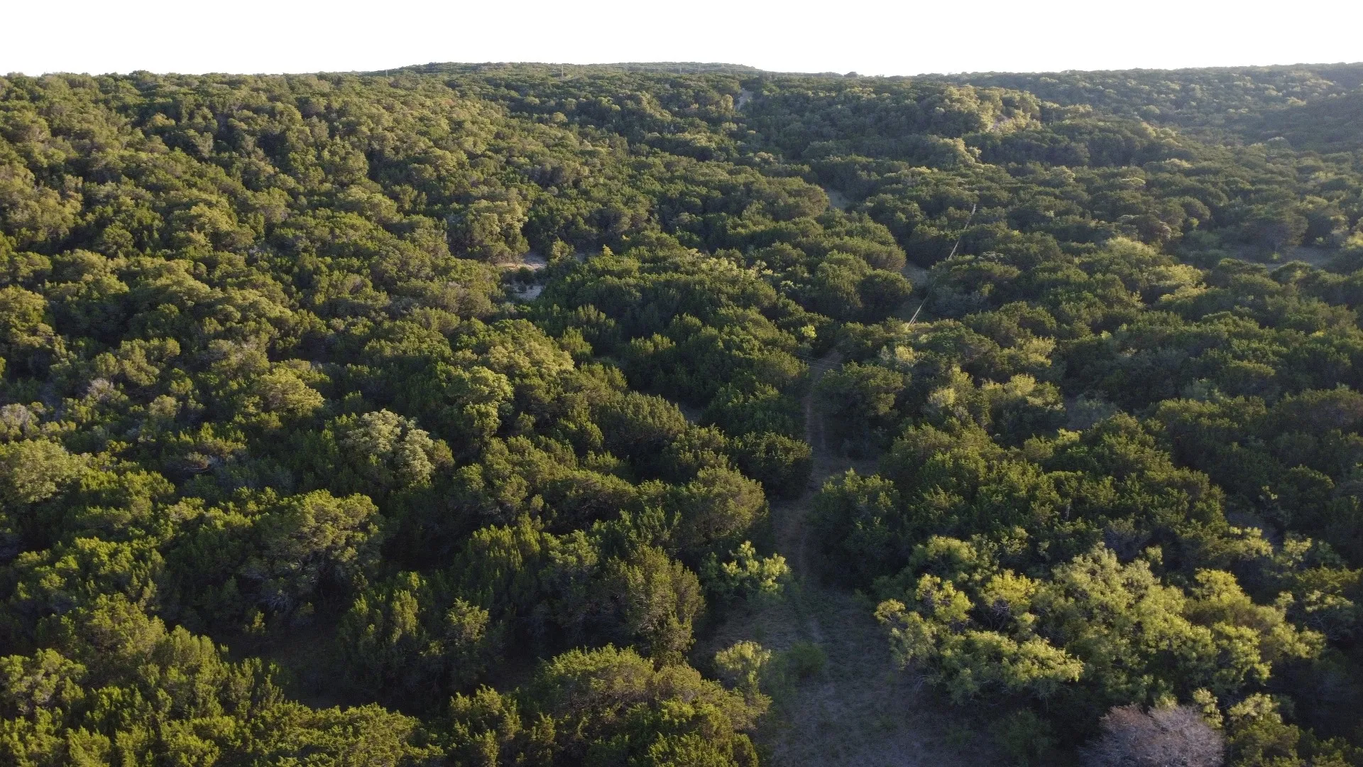 Unimproved Land For Sale in Taylor County , TBD Old Coleman, Abilene, Texas 79602, 0, 0, Garage spaces, 0 Sqft, built in 0, Price $2,995,000, mls#21075605, Real Estate Agent in Abilene, Homes For Sale in Taylor county, Homes For Sale in Abilene, Realtor in Abilene Texas, Real Estate Brokerage Independent Realty Texas, Luminita Cordes Realtor