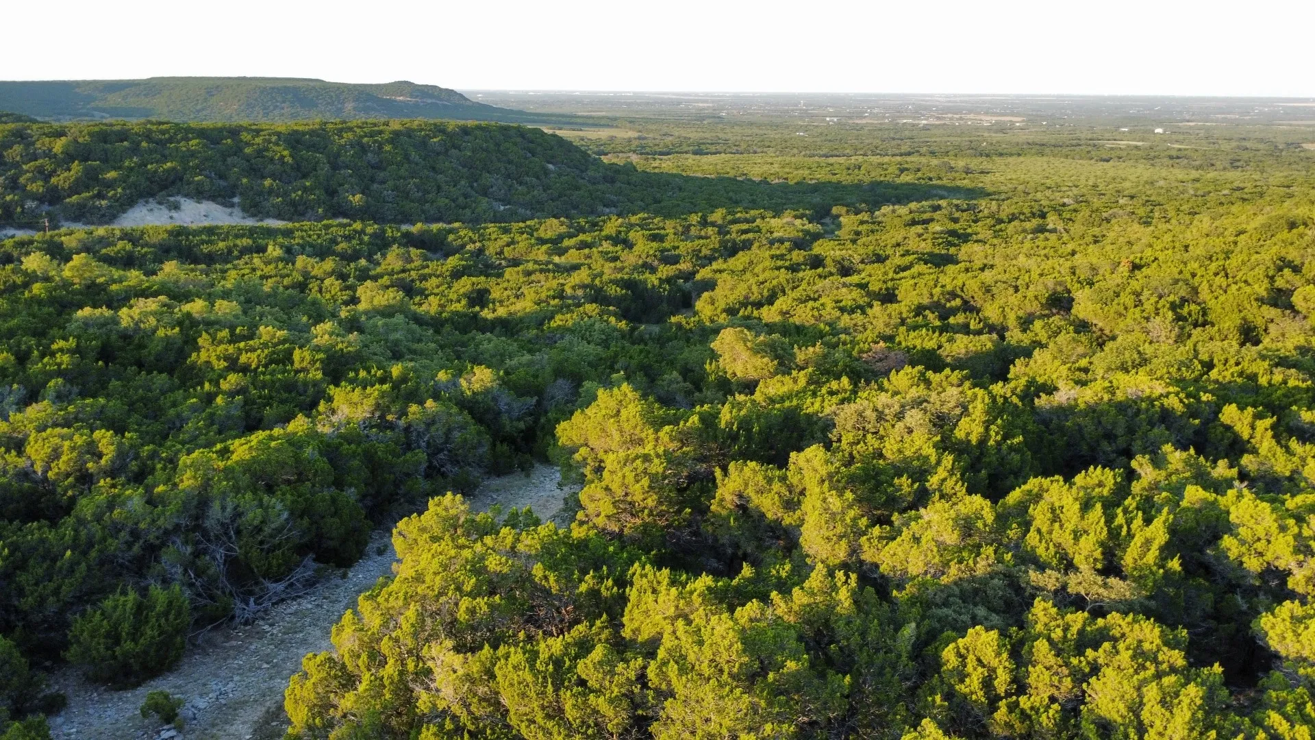 Unimproved Land For Sale in Taylor County , TBD Old Coleman, Abilene, Texas 79602, 0, 0, Garage spaces, 0 Sqft, built in 0, Price $2,995,000, mls#21075605, Real Estate Agent in Abilene, Homes For Sale in Taylor county, Homes For Sale in Abilene, Realtor in Abilene Texas, Real Estate Brokerage Independent Realty Texas, Luminita Cordes Realtor