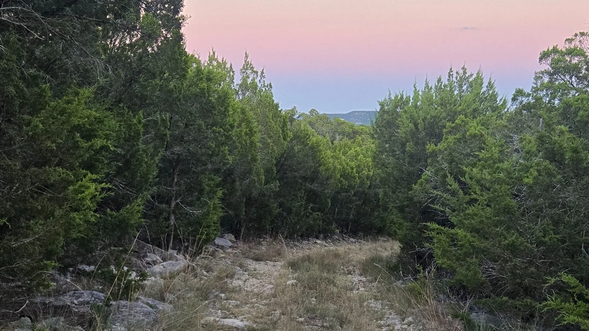 Unimproved Land For Sale in Taylor County , TBD Old Coleman, Abilene, Texas 79602, 0, 0, Garage spaces, 0 Sqft, built in 0, Price $2,995,000, mls#21075605, Real Estate Agent in Abilene, Homes For Sale in Taylor county, Homes For Sale in Abilene, Realtor in Abilene Texas, Real Estate Brokerage Independent Realty Texas, Luminita Cordes Realtor