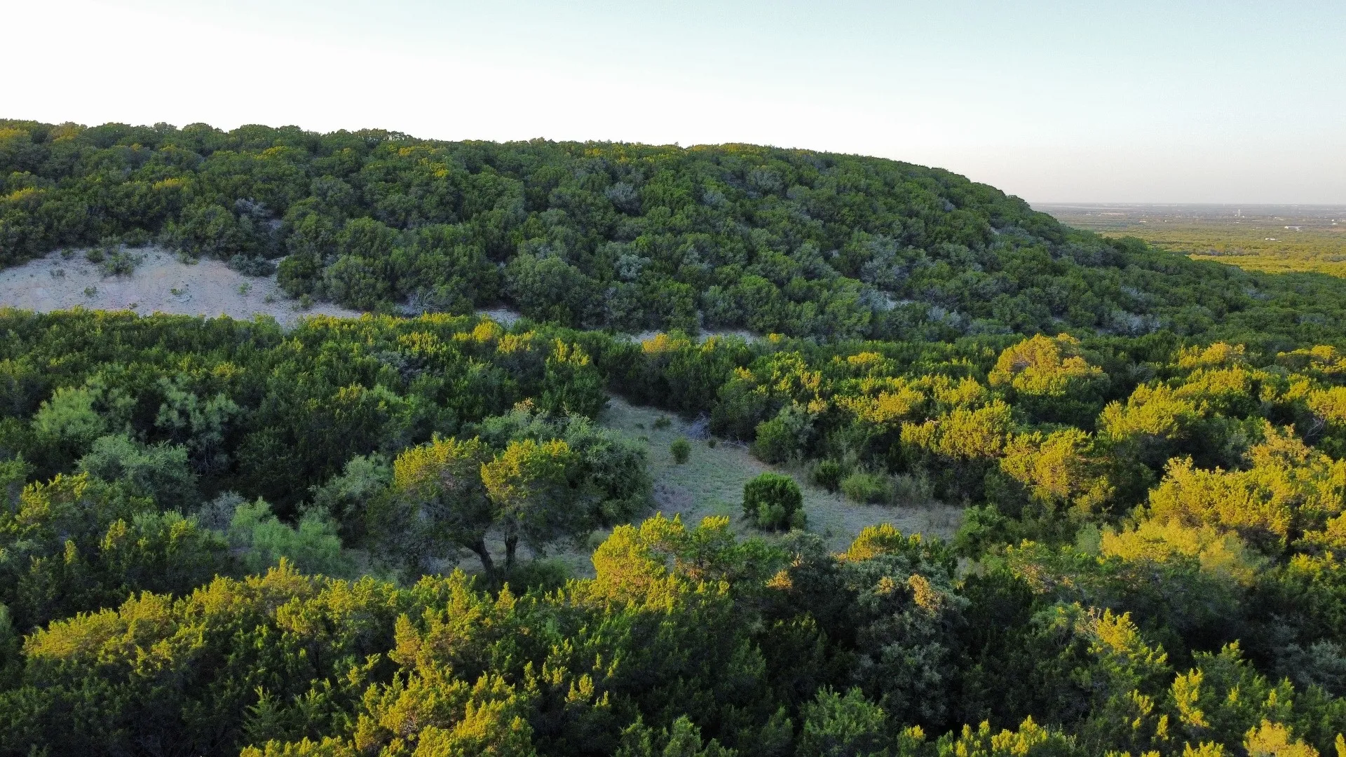 Unimproved Land For Sale in Taylor County , TBD Old Coleman, Abilene, Texas 79602, 0, 0, Garage spaces, 0 Sqft, built in 0, Price $2,995,000, mls#21075605, Real Estate Agent in Abilene, Homes For Sale in Taylor county, Homes For Sale in Abilene, Realtor in Abilene Texas, Real Estate Brokerage Independent Realty Texas, Luminita Cordes Realtor