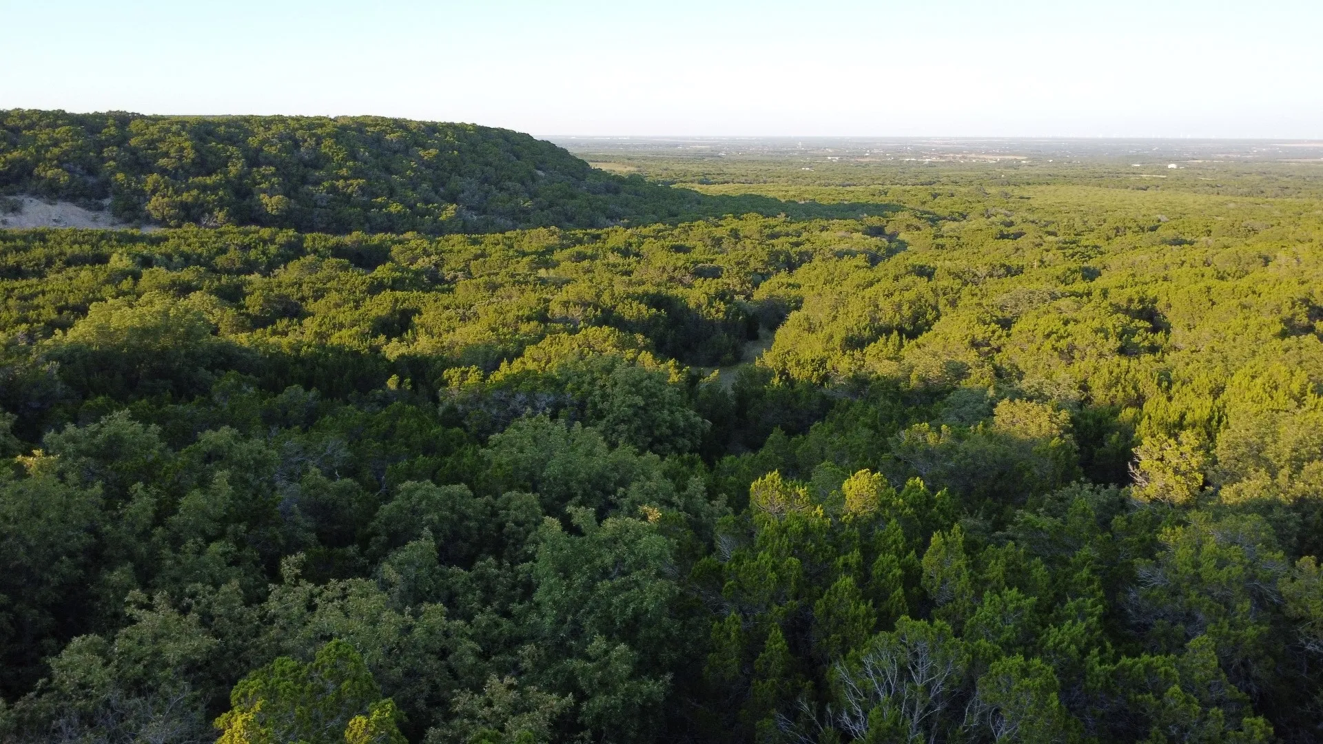 Unimproved Land For Sale in Taylor County , TBD Old Coleman, Abilene, Texas 79602, 0, 0, Garage spaces, 0 Sqft, built in 0, Price $2,995,000, mls#21075605, Real Estate Agent in Abilene, Homes For Sale in Taylor county, Homes For Sale in Abilene, Realtor in Abilene Texas, Real Estate Brokerage Independent Realty Texas, Luminita Cordes Realtor