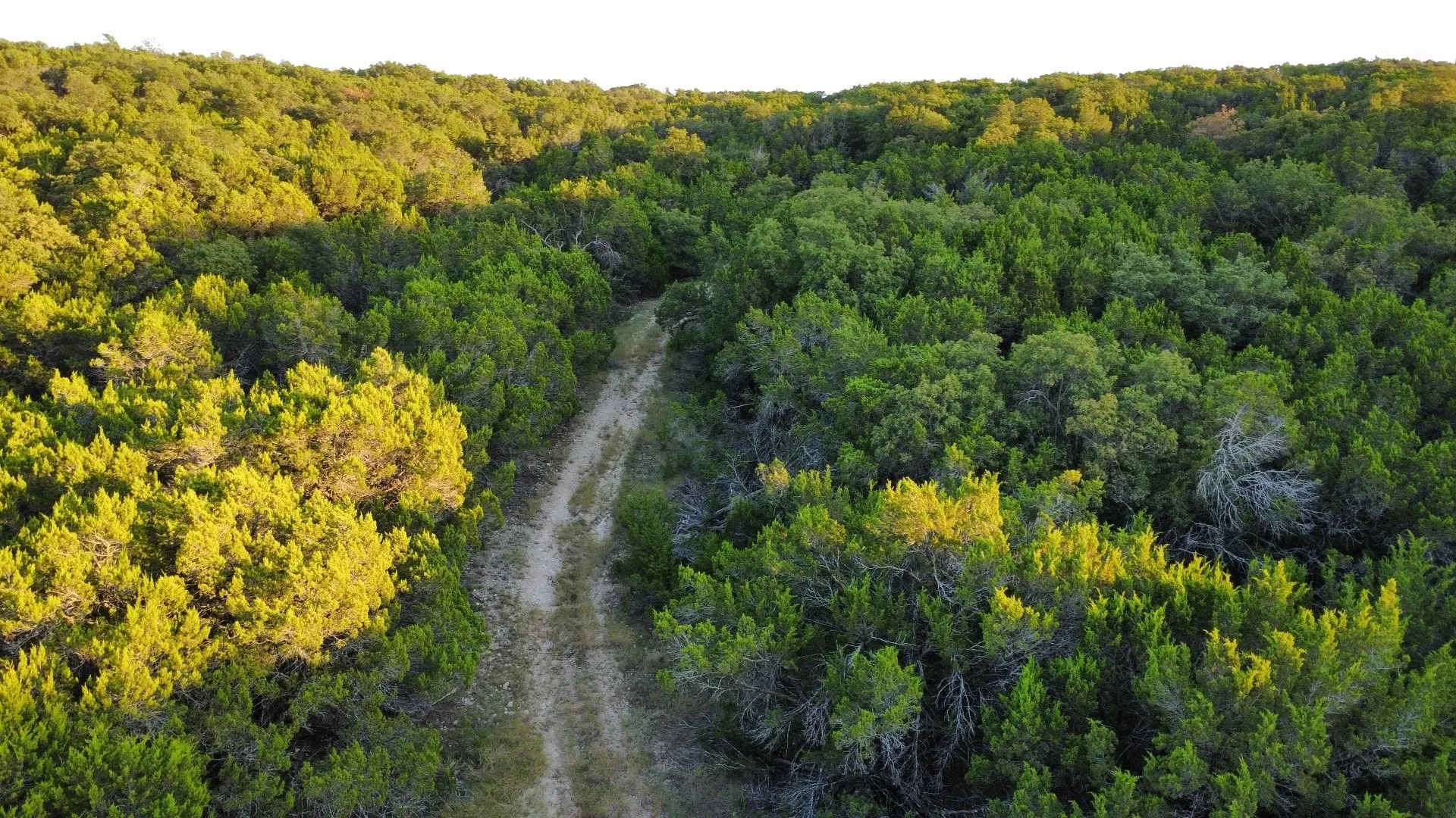 Unimproved Land For Sale in Taylor County , TBD Old Coleman, Abilene, Texas 79602, 0, 0, Garage spaces, 0 Sqft, built in 0, Price $2,995,000, mls#21075605, Real Estate Agent in Abilene, Homes For Sale in Taylor county, Homes For Sale in Abilene, Realtor in Abilene Texas, Real Estate Brokerage Independent Realty Texas, Luminita Cordes Realtor