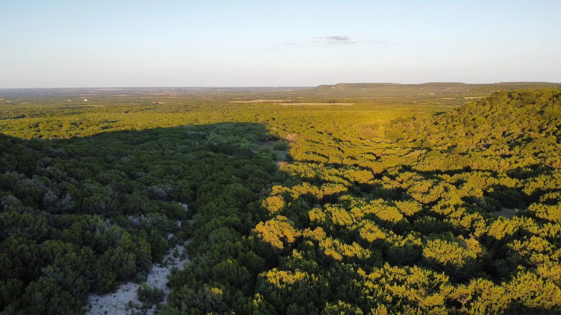 Unimproved Land For Sale in Taylor County , TBD Old Coleman, Abilene, Texas 79602, 0, 0, Garage spaces, 0 Sqft, built in 0, Price $2,995,000, mls#21075605, Real Estate Agent in Abilene, Homes For Sale in Taylor county, Homes For Sale in Abilene, Realtor in Abilene Texas, Real Estate Brokerage Independent Realty Texas, Luminita Cordes Realtor