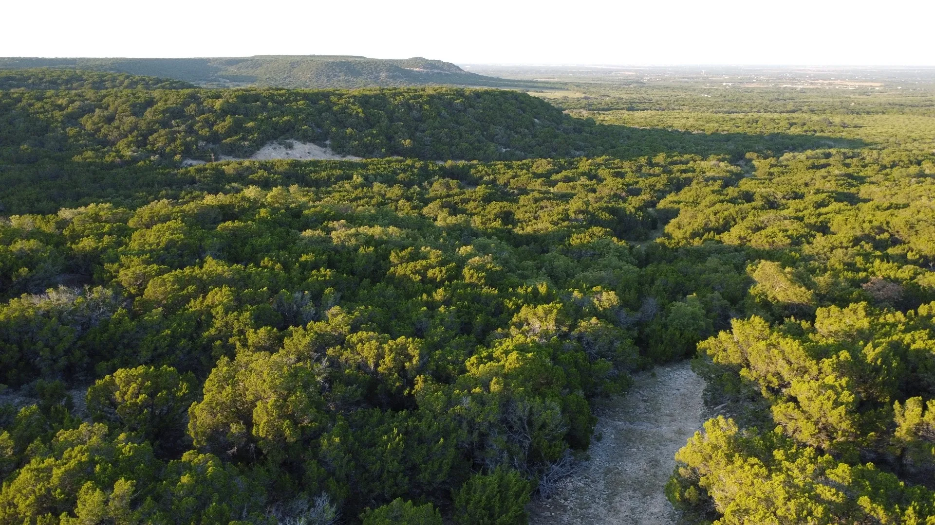 Unimproved Land For Sale in Taylor County , TBD Old Coleman, Abilene, Texas 79602, 0, 0, Garage spaces, 0 Sqft, built in 0, Price $2,995,000, mls#21075605, Real Estate Agent in Abilene, Homes For Sale in Taylor county, Homes For Sale in Abilene, Realtor in Abilene Texas, Real Estate Brokerage Independent Realty Texas, Luminita Cordes Realtor
